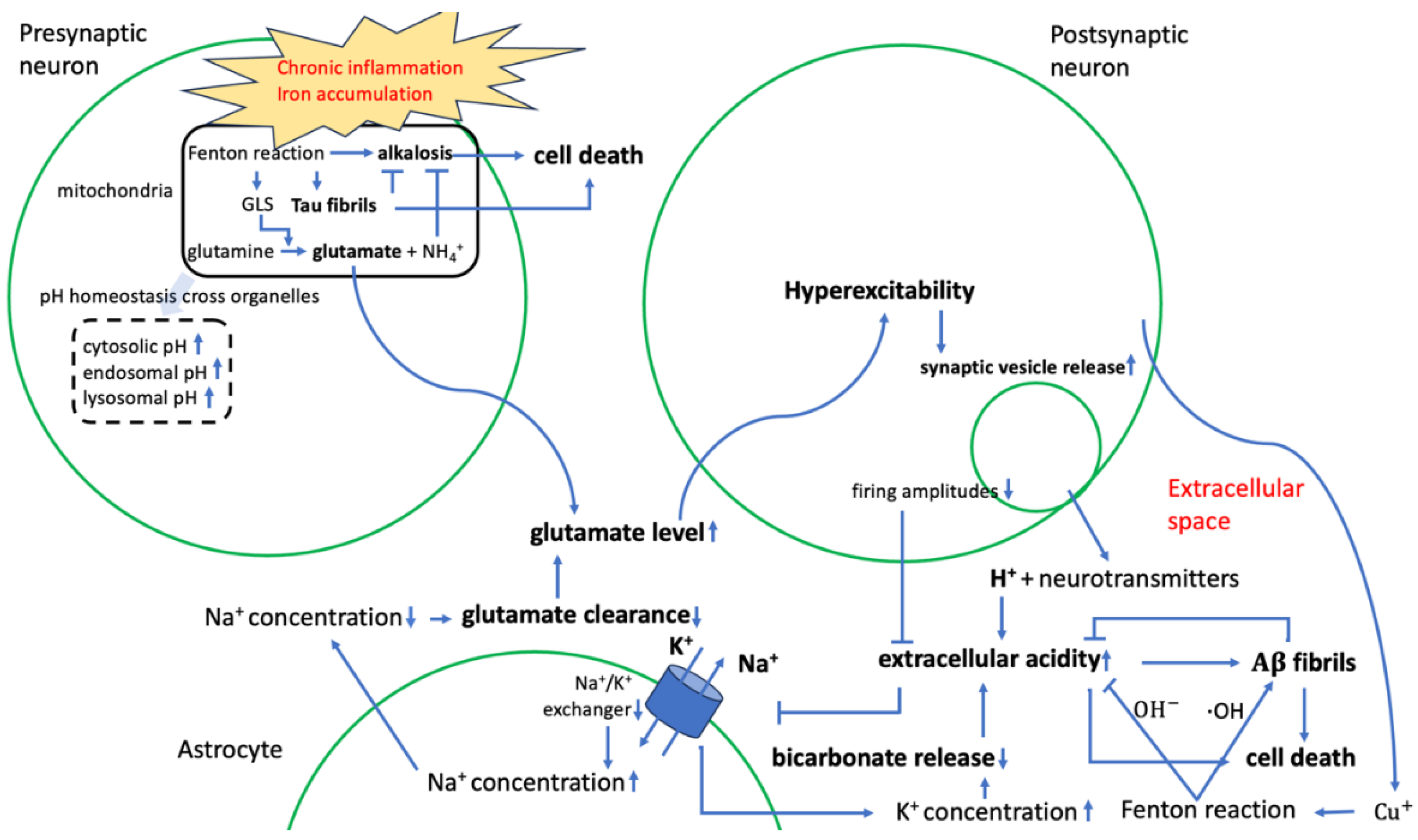 Preprints 111724 g004