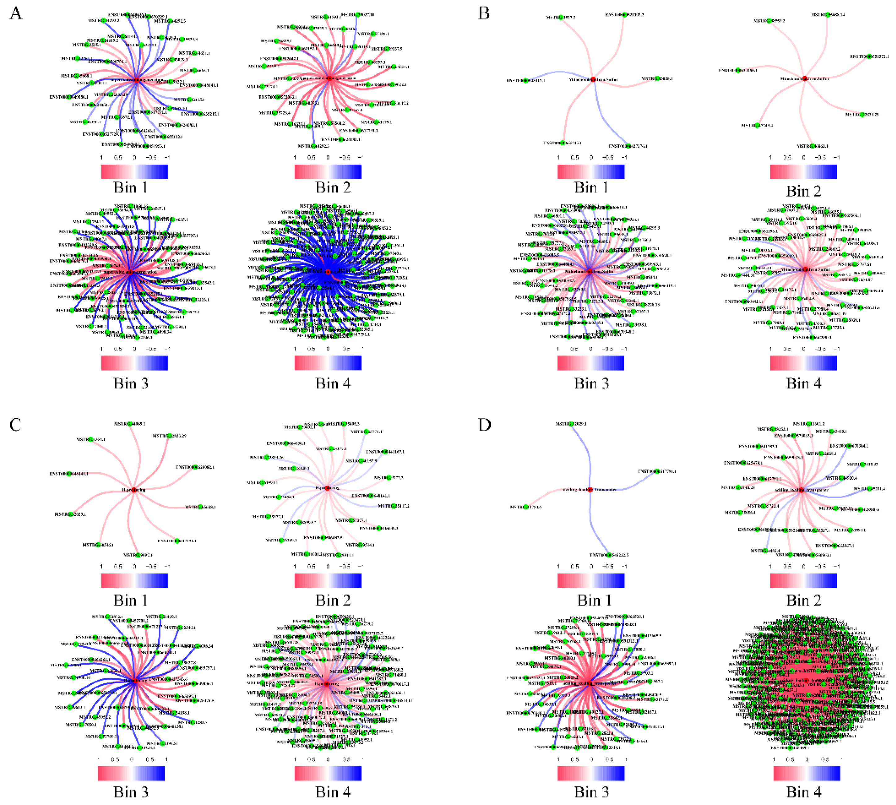 Preprints 111724 g006