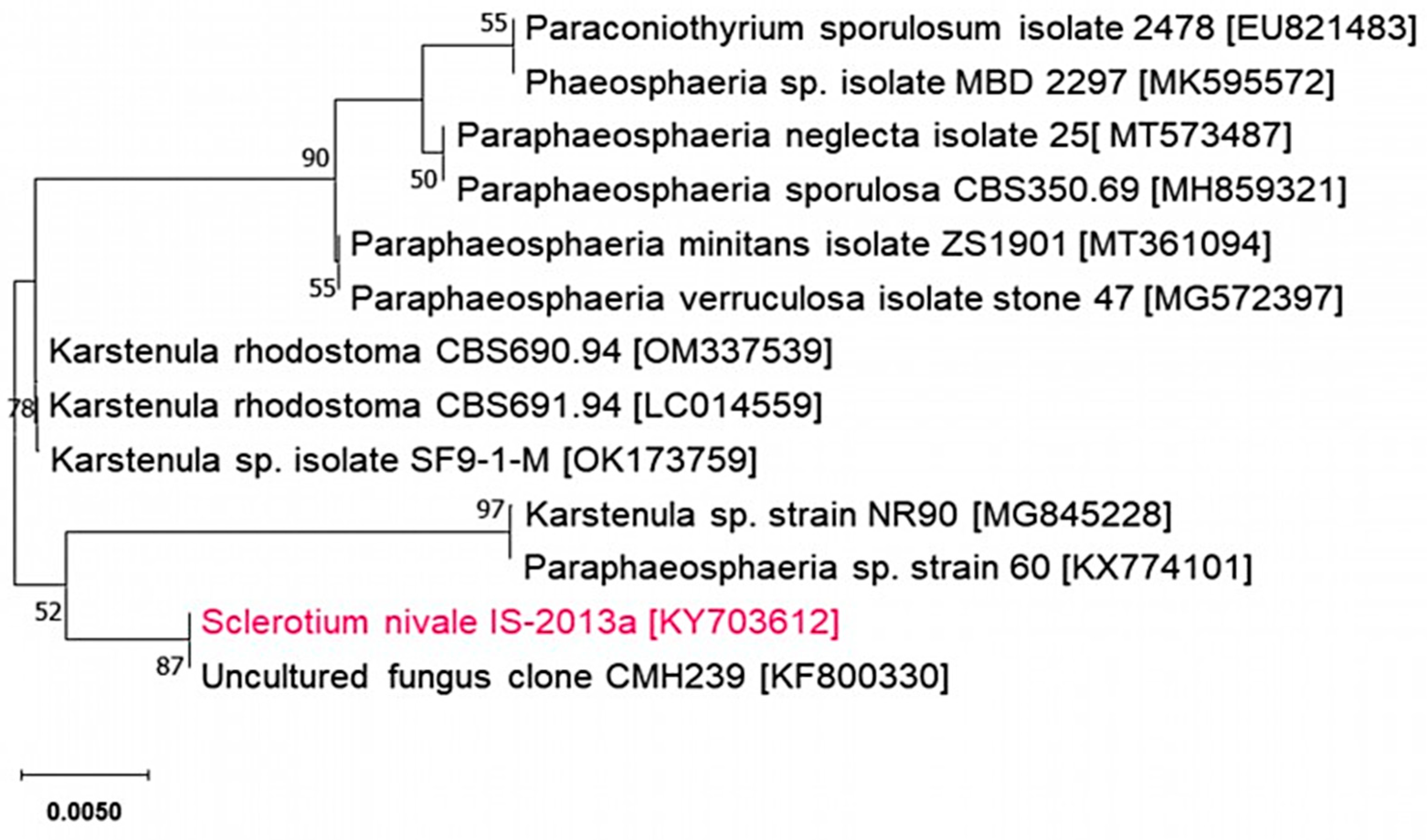 Preprints 97361 g006