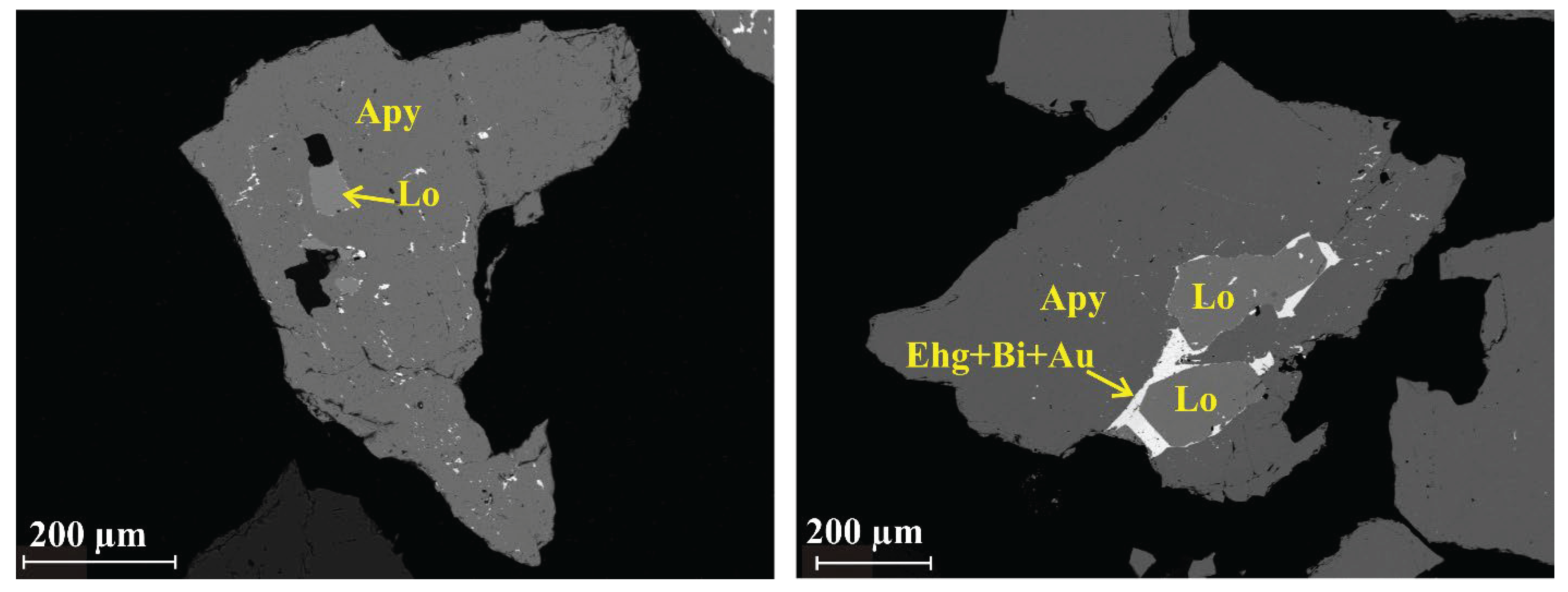 Preprints 102200 g011