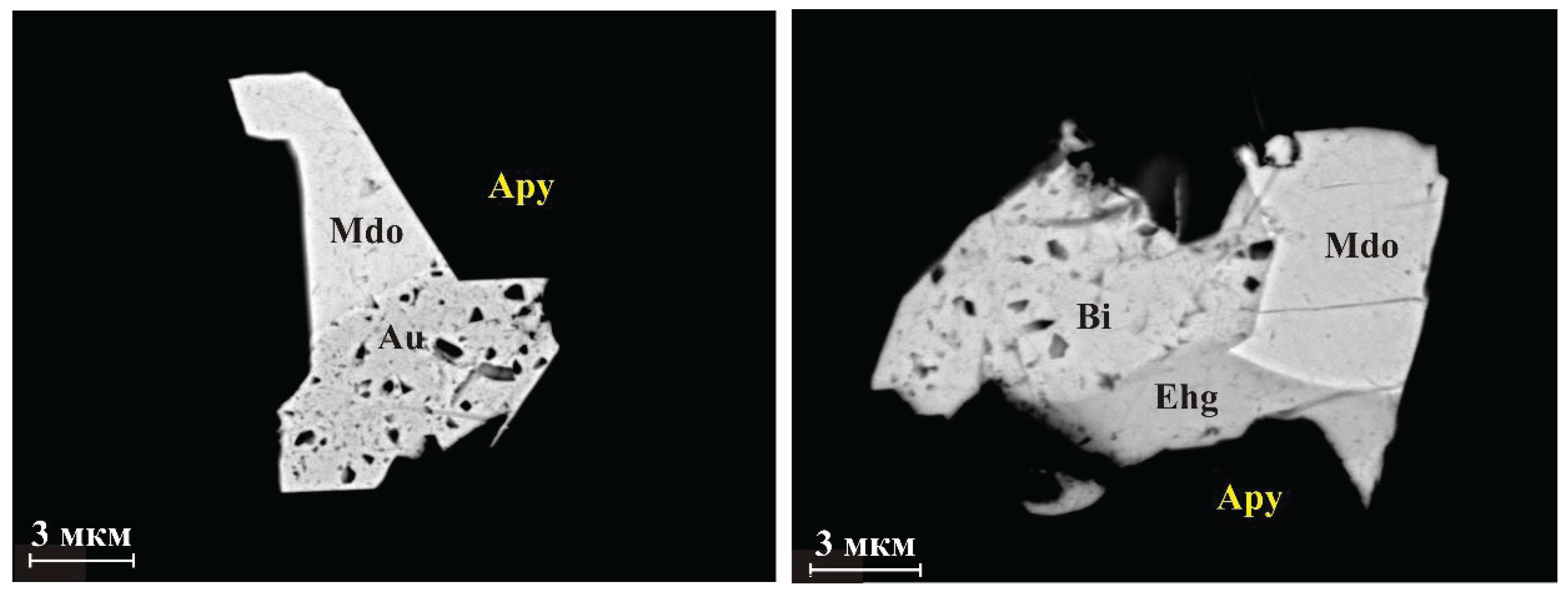 Preprints 102200 g013