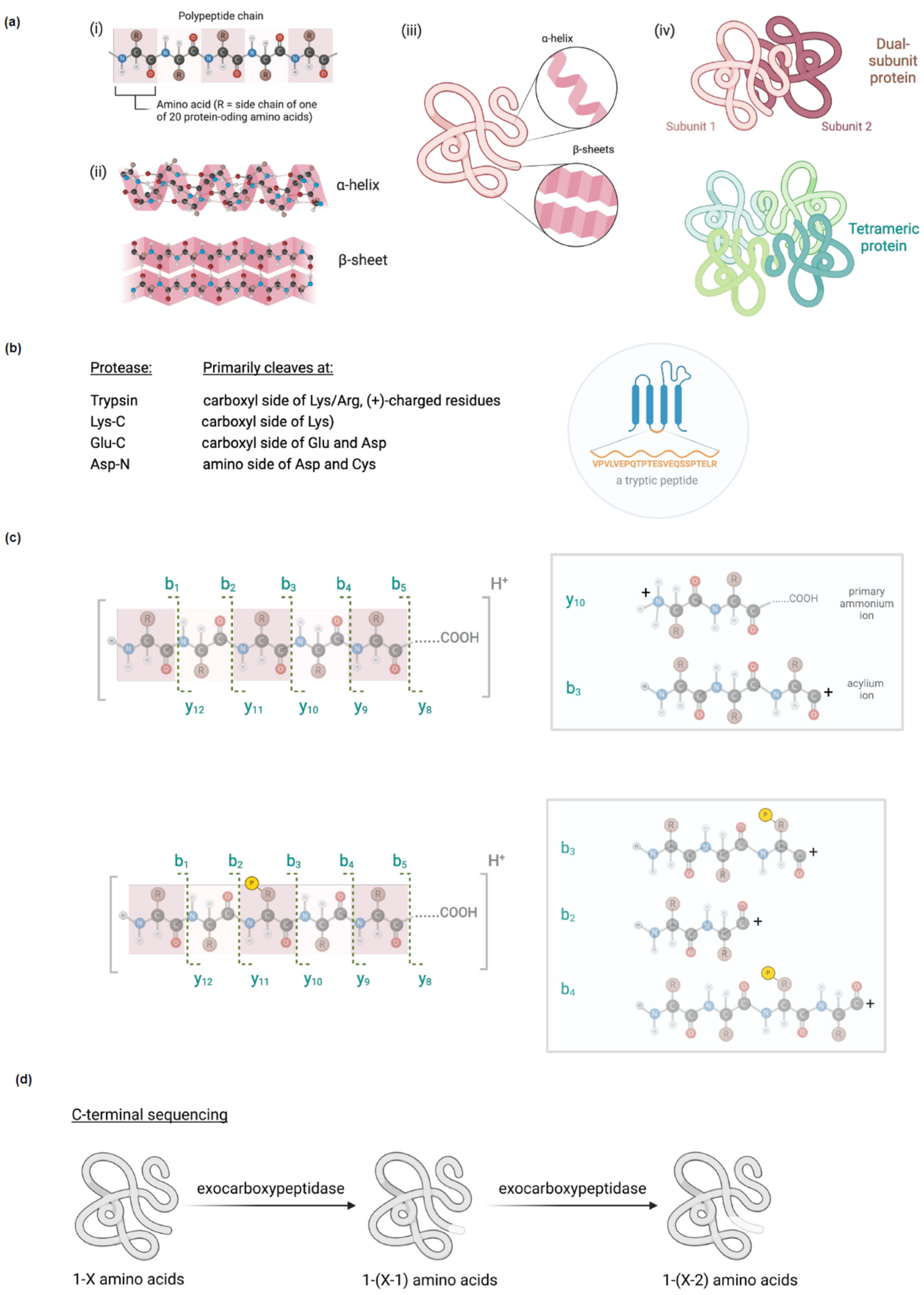 Preprints 108955 g001