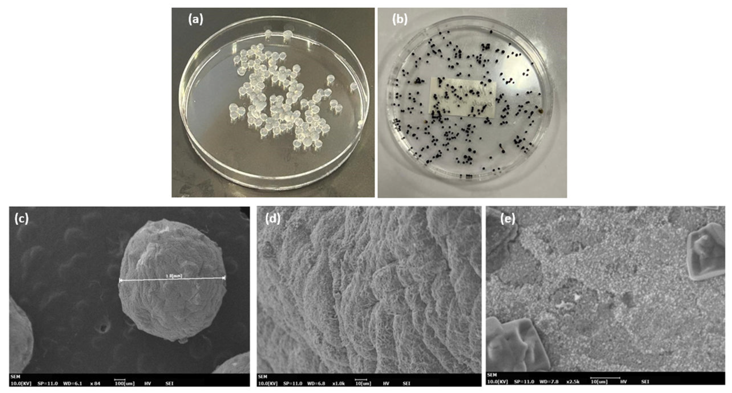 Preprints 108911 g002