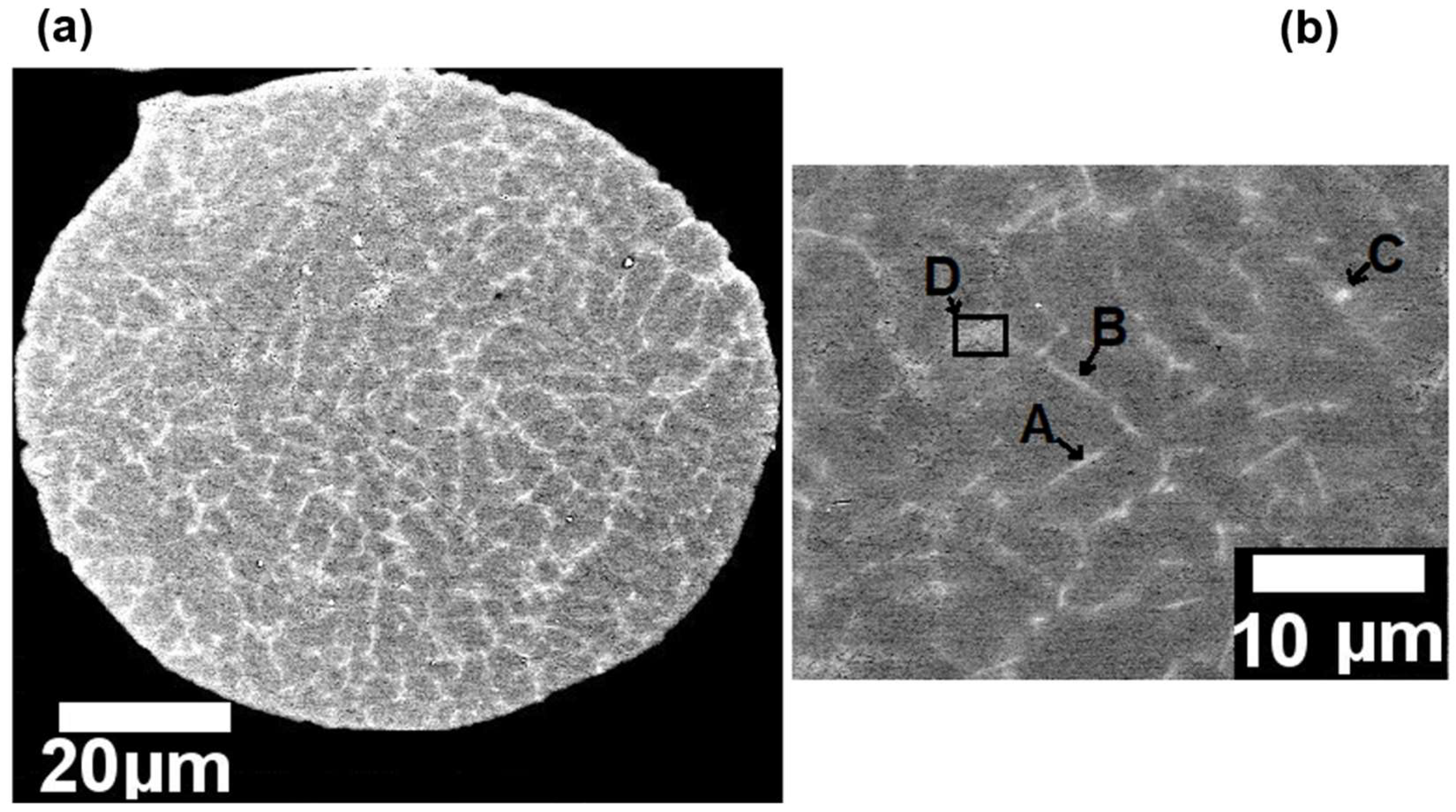 Preprints 100674 g003