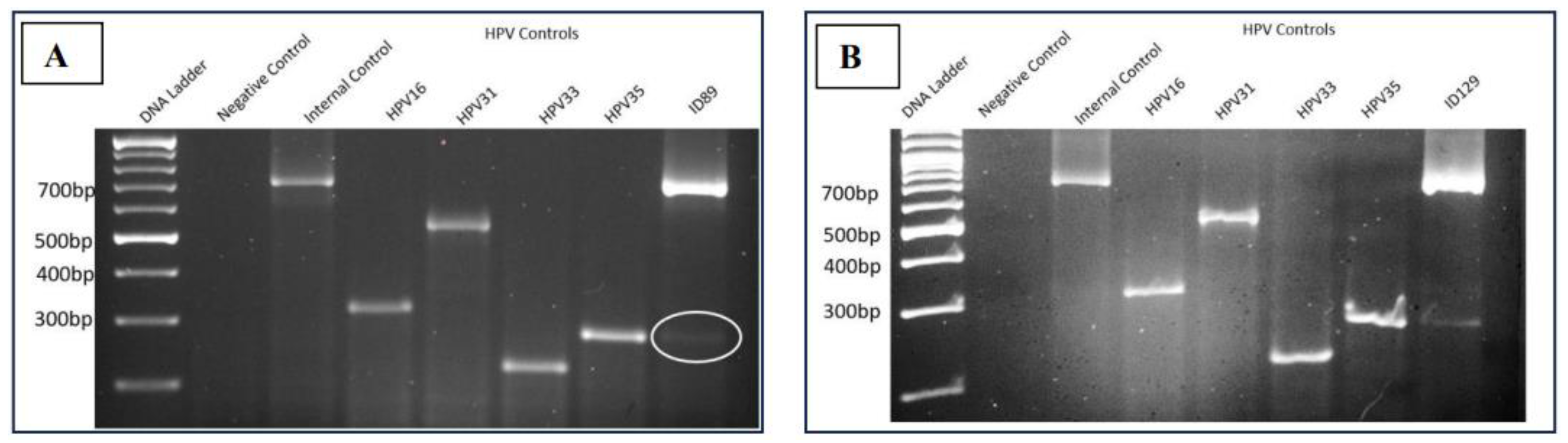 Preprints 98352 g001