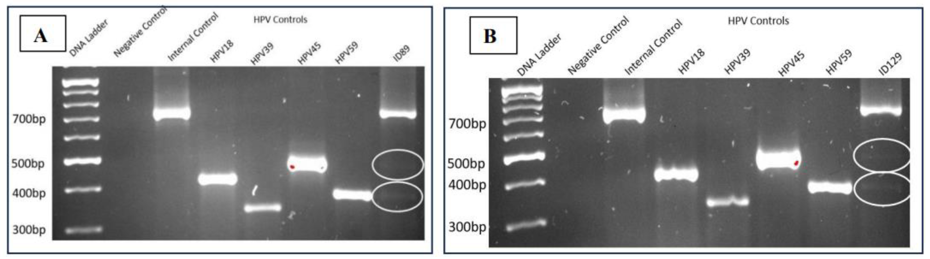 Preprints 98352 g002