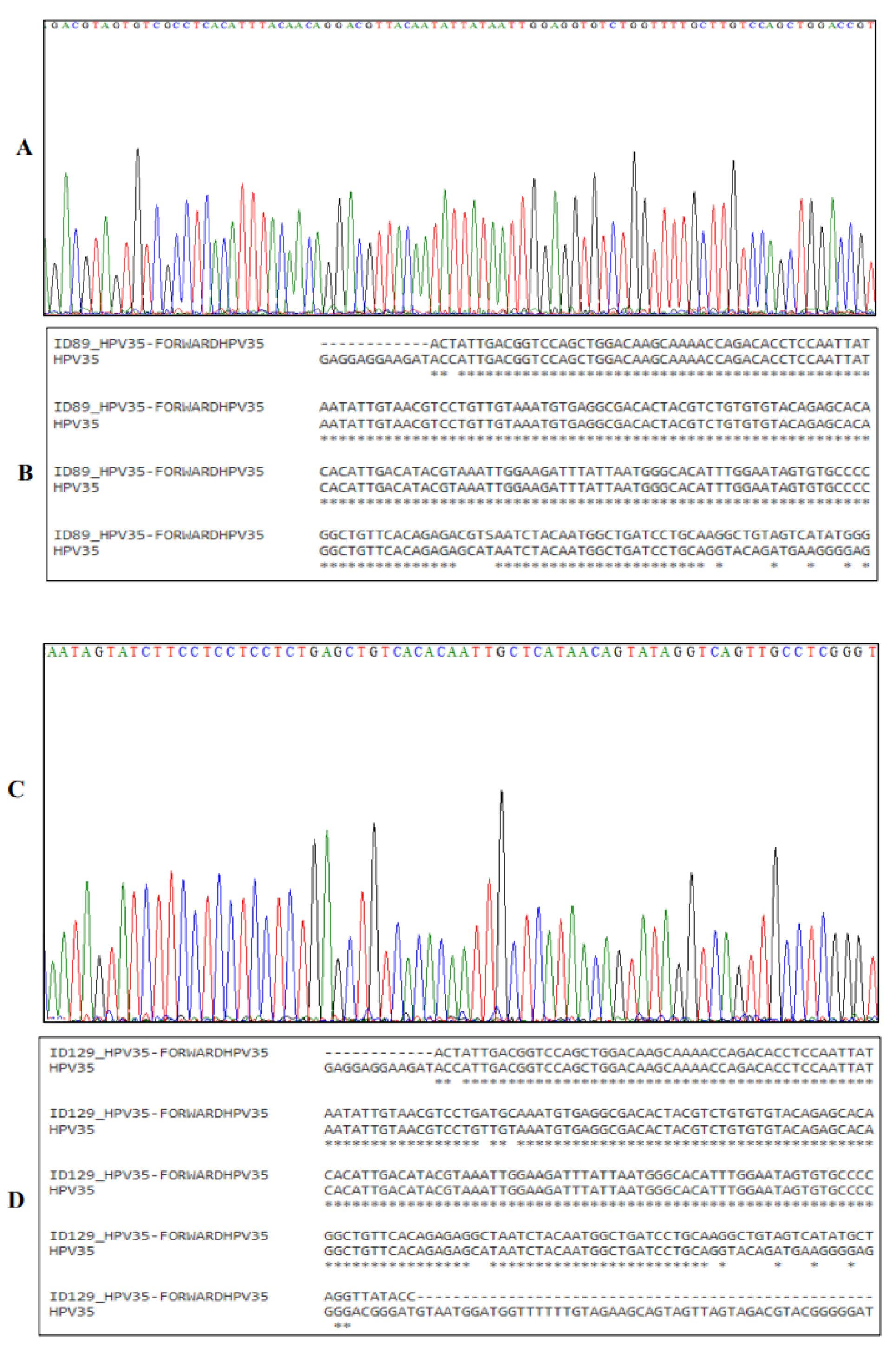 Preprints 98352 g003