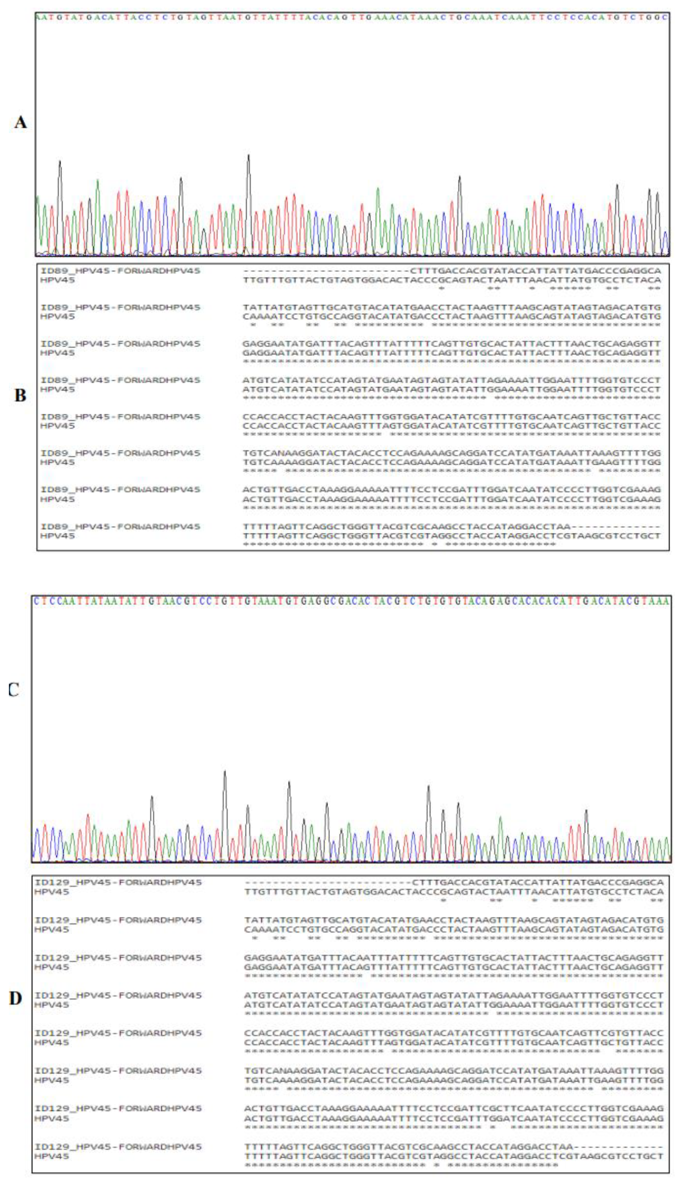 Preprints 98352 g004