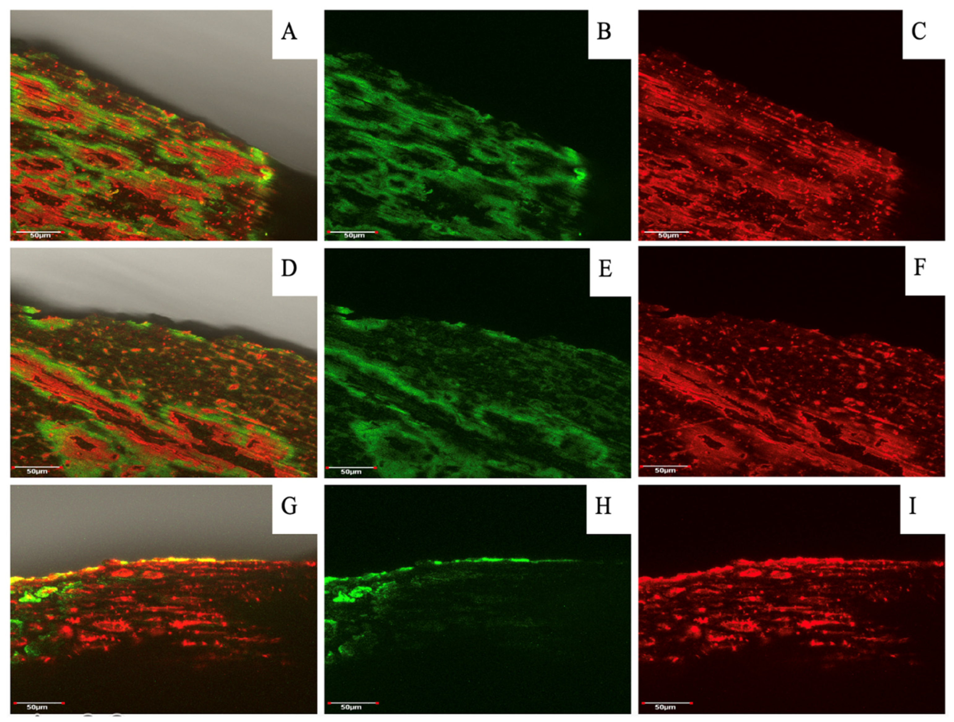 Preprints 109126 g006