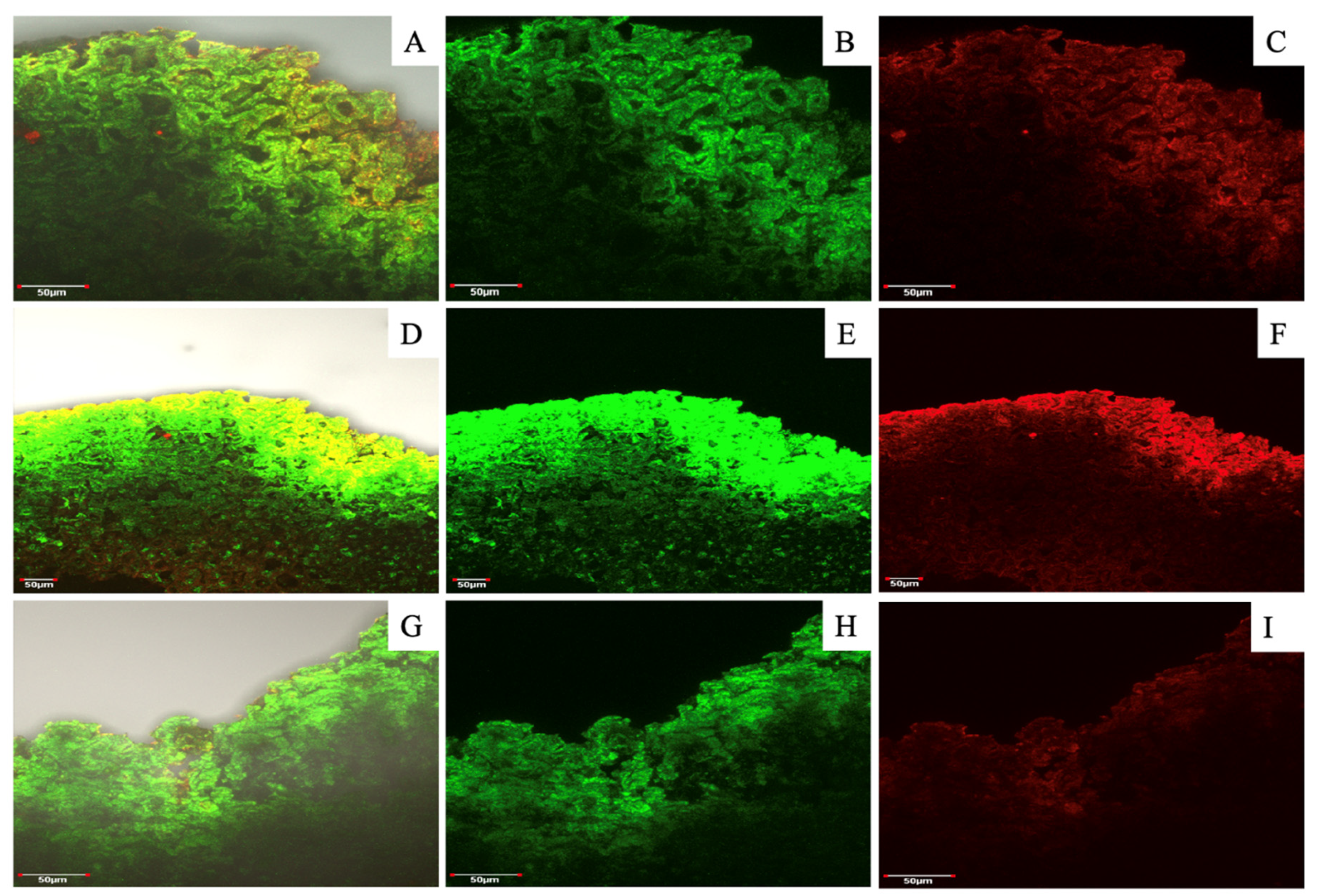 Preprints 109126 g007