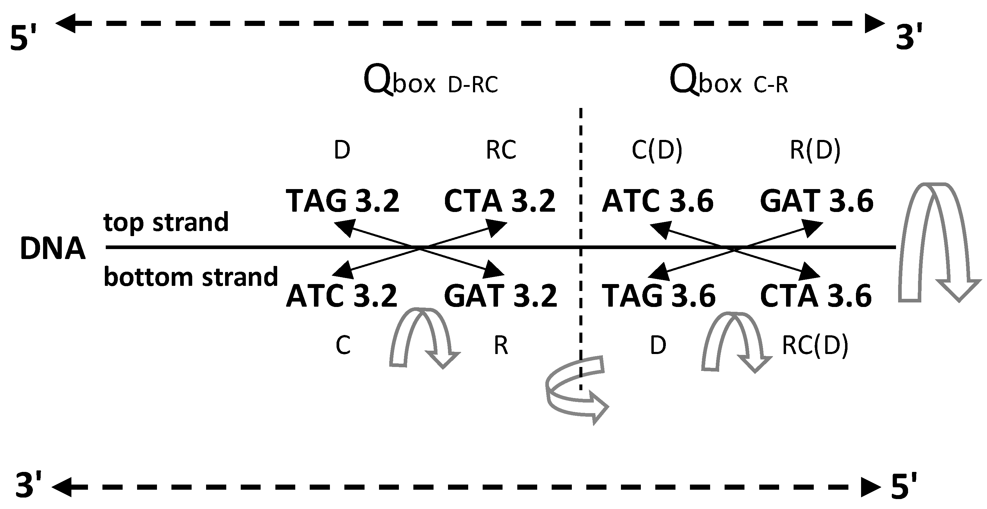 Preprints 86823 g005