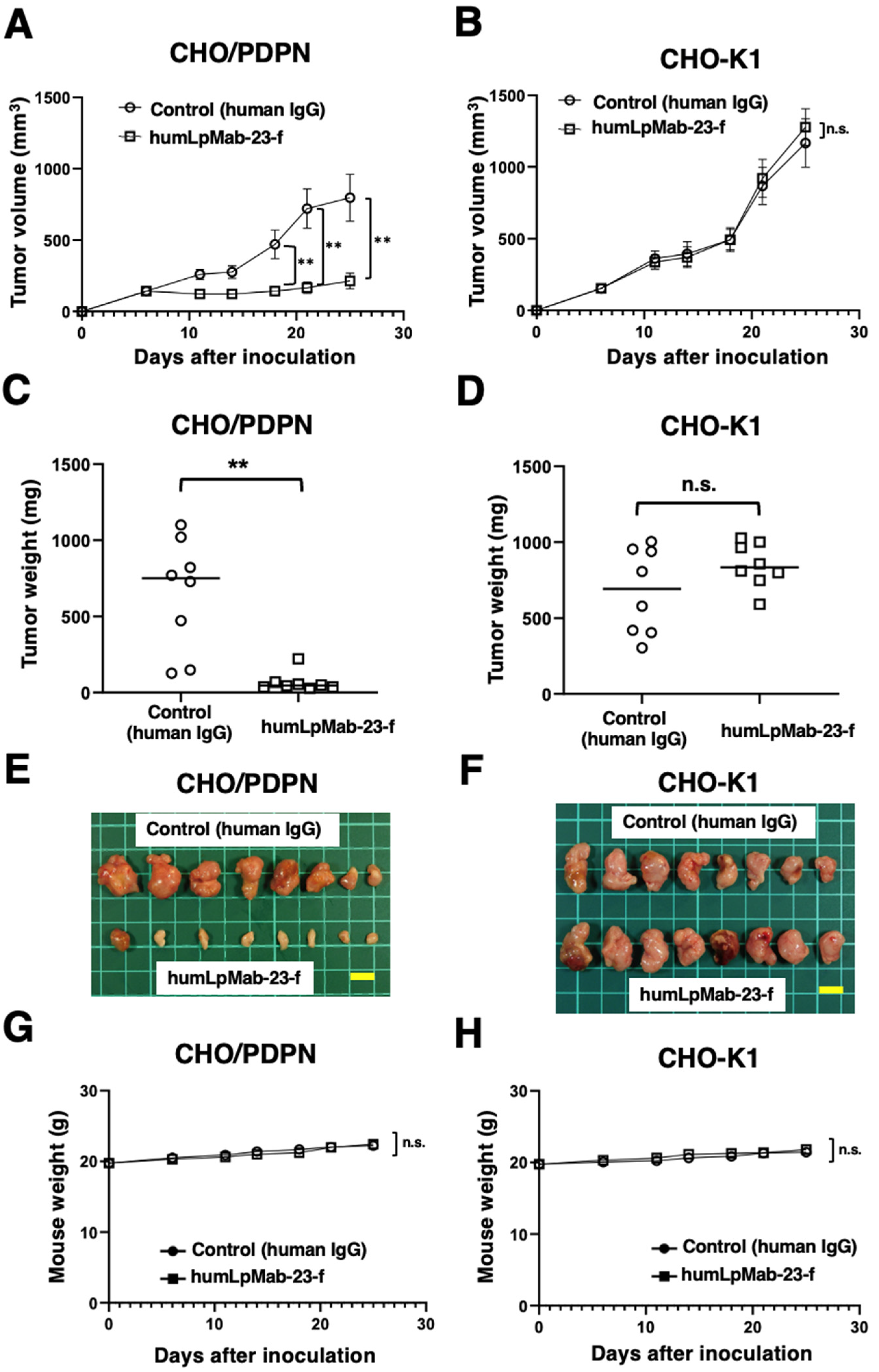 Preprints 88294 g003