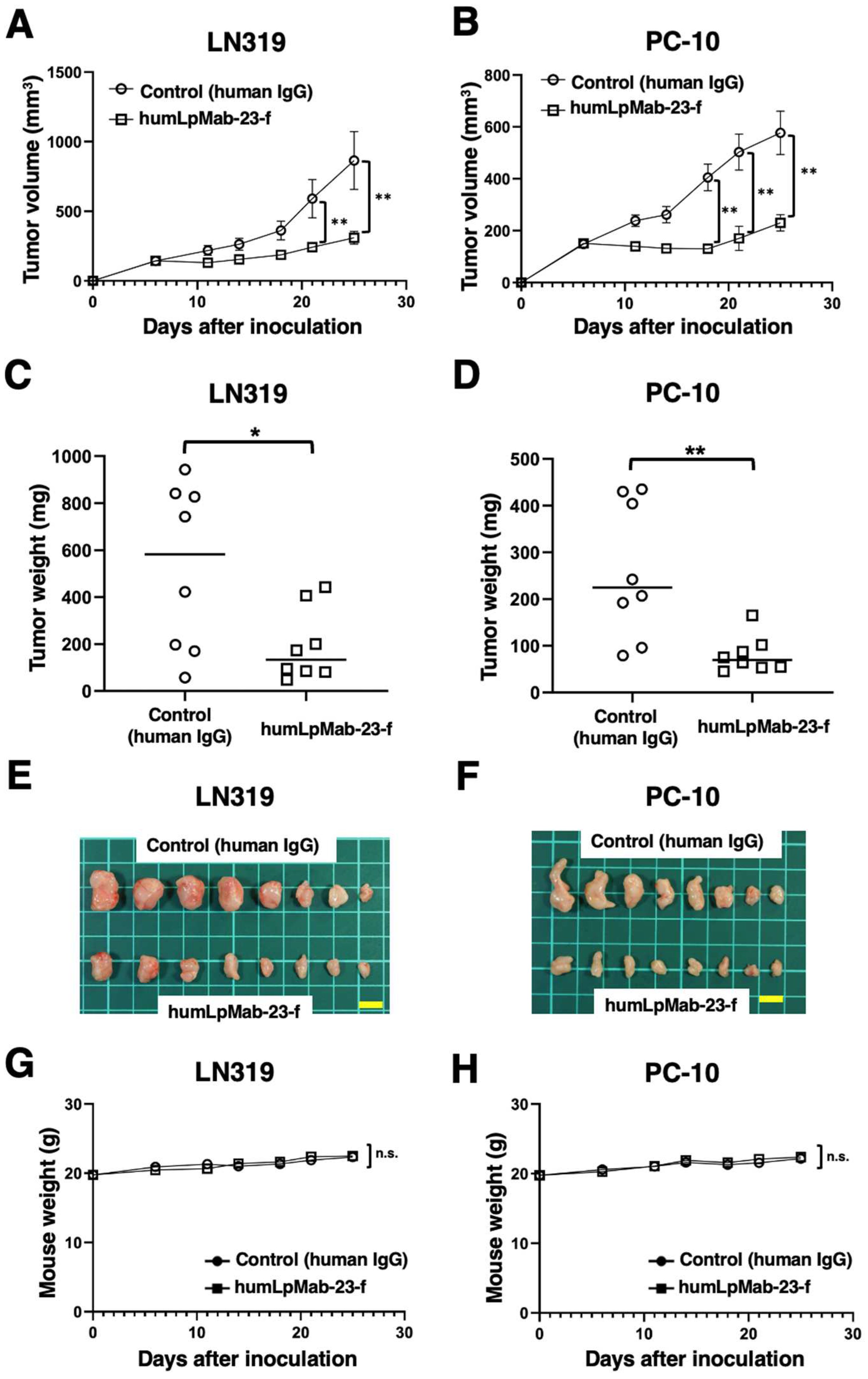 Preprints 88294 g005