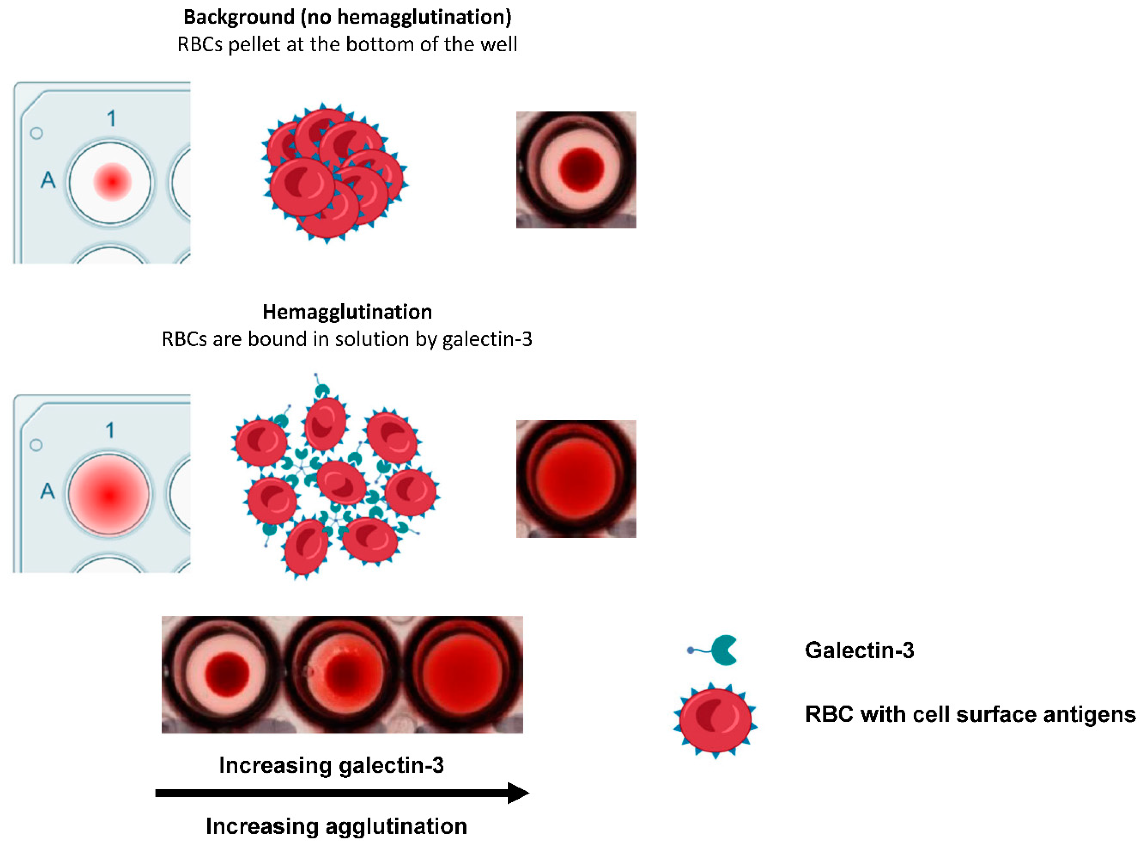 Preprints 105332 g001