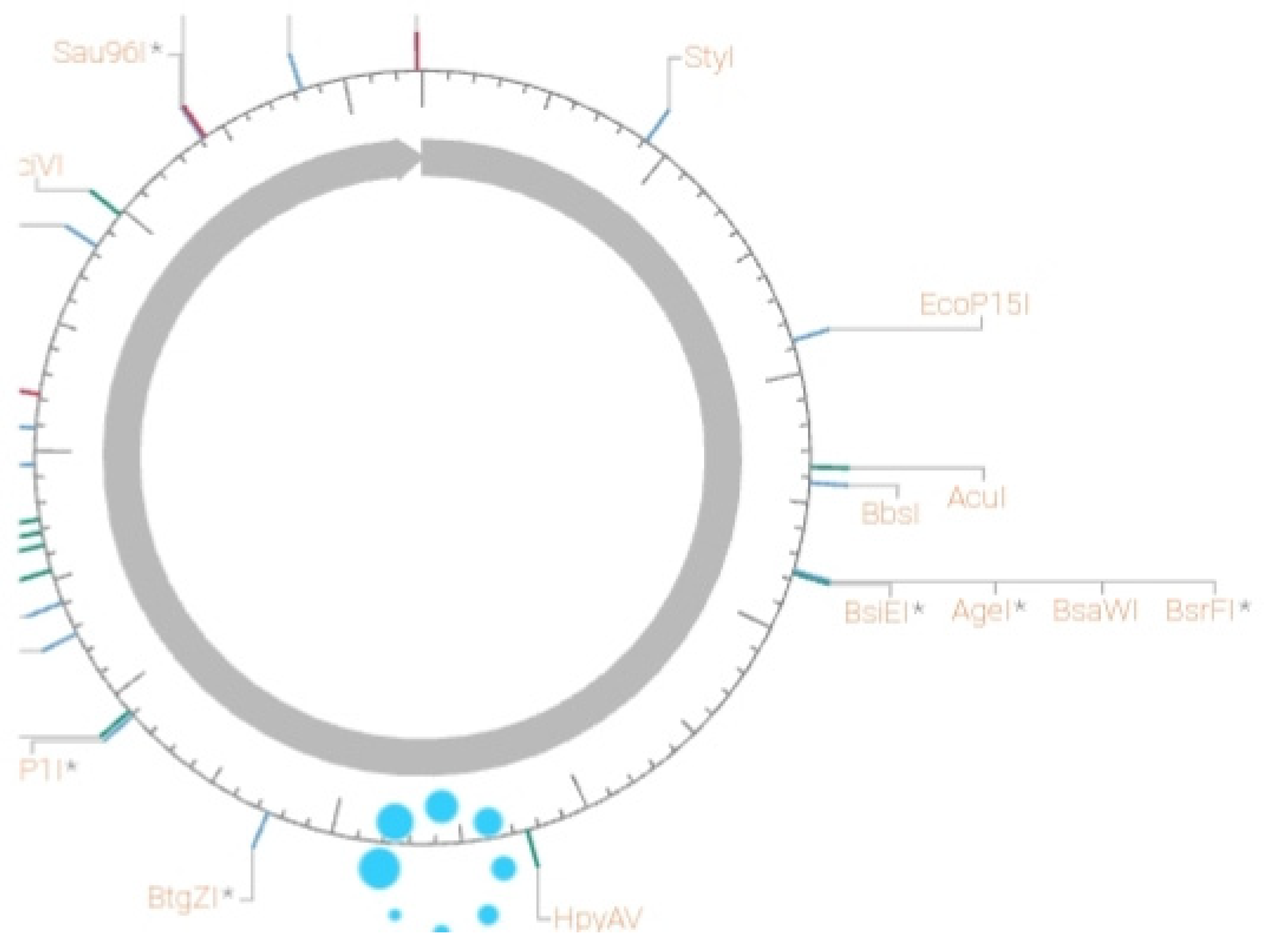 Preprints 106636 g004