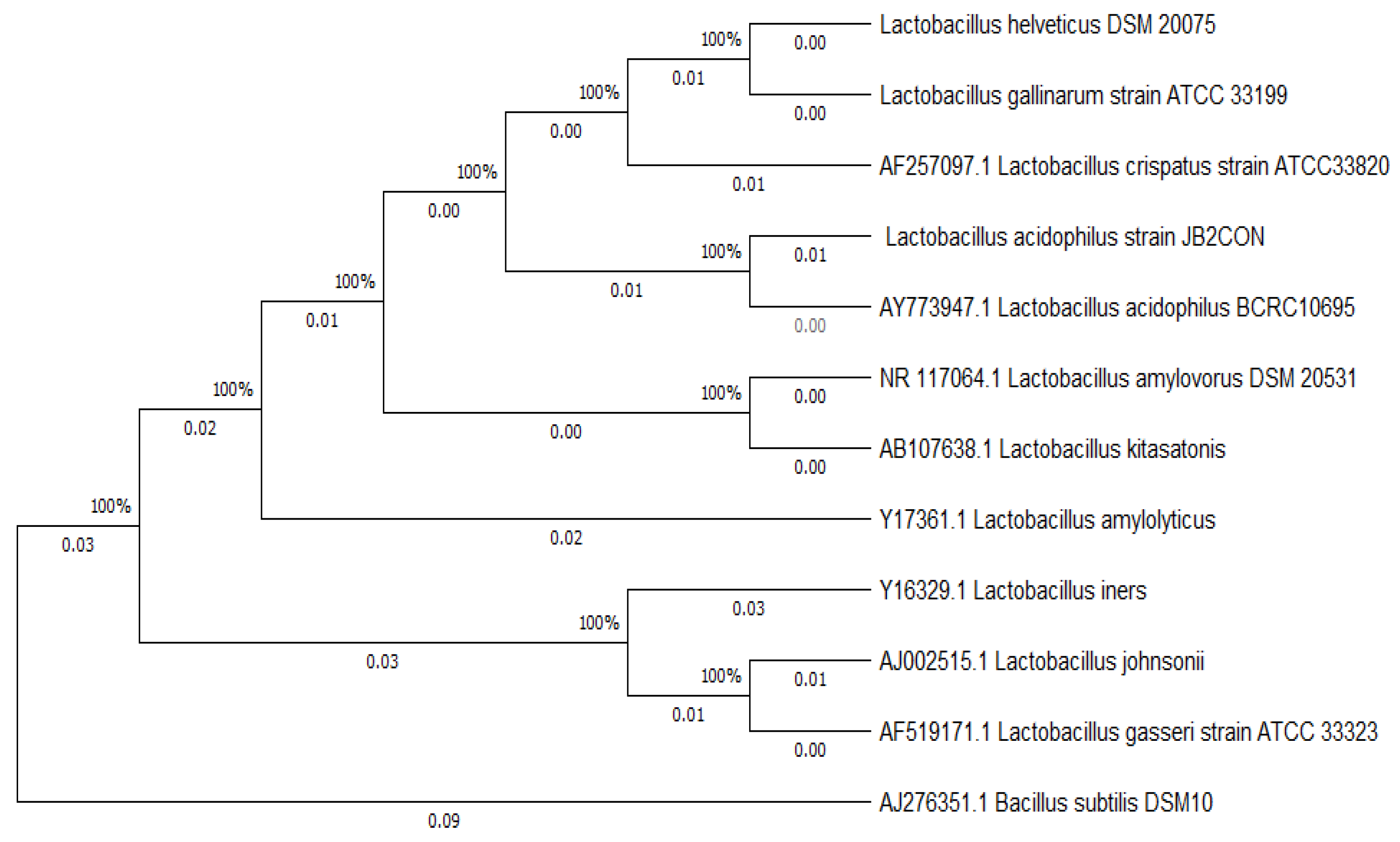 Preprints 91342 g002