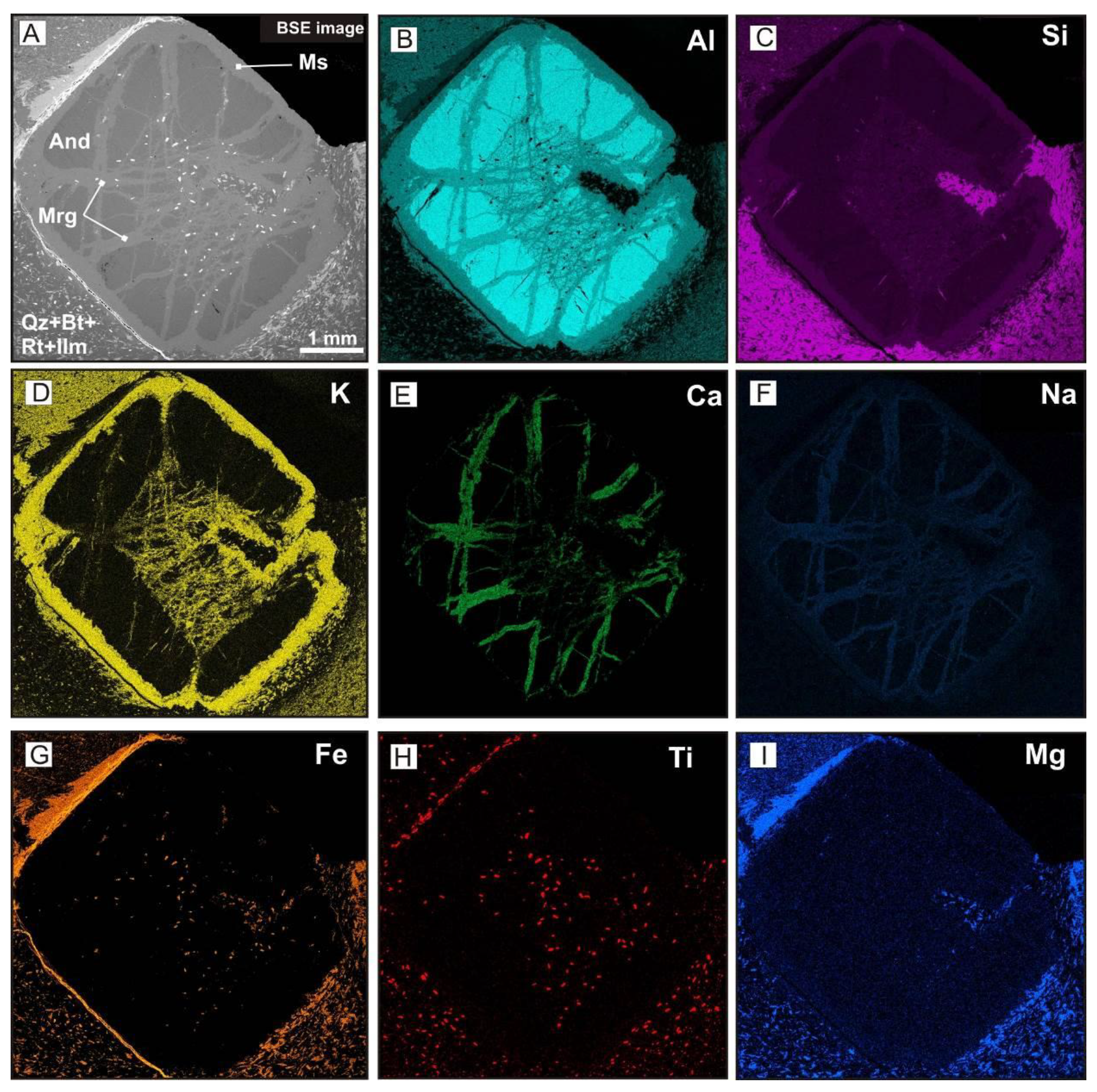 Preprints 81326 g009