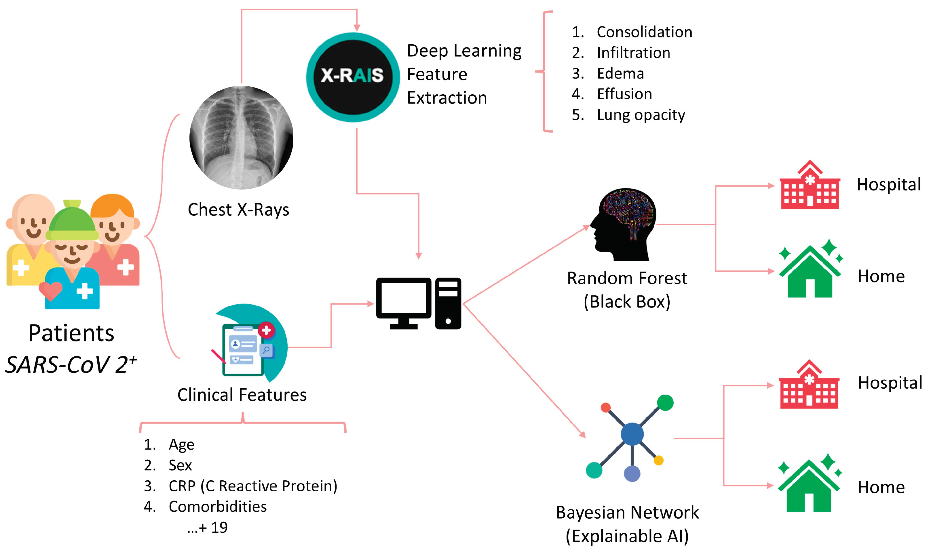 Preprints 100972 g001