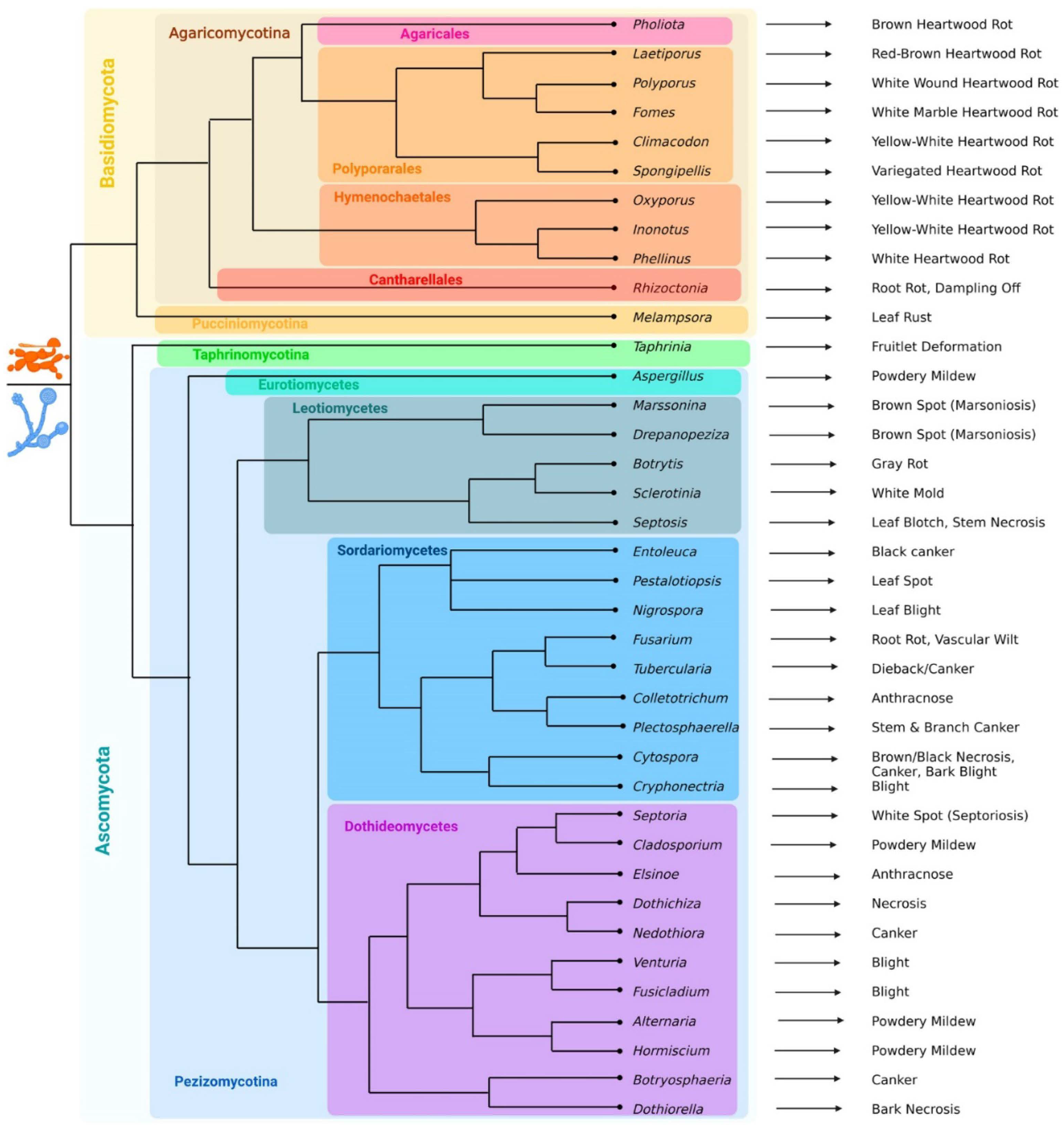 Preprints 93291 g001