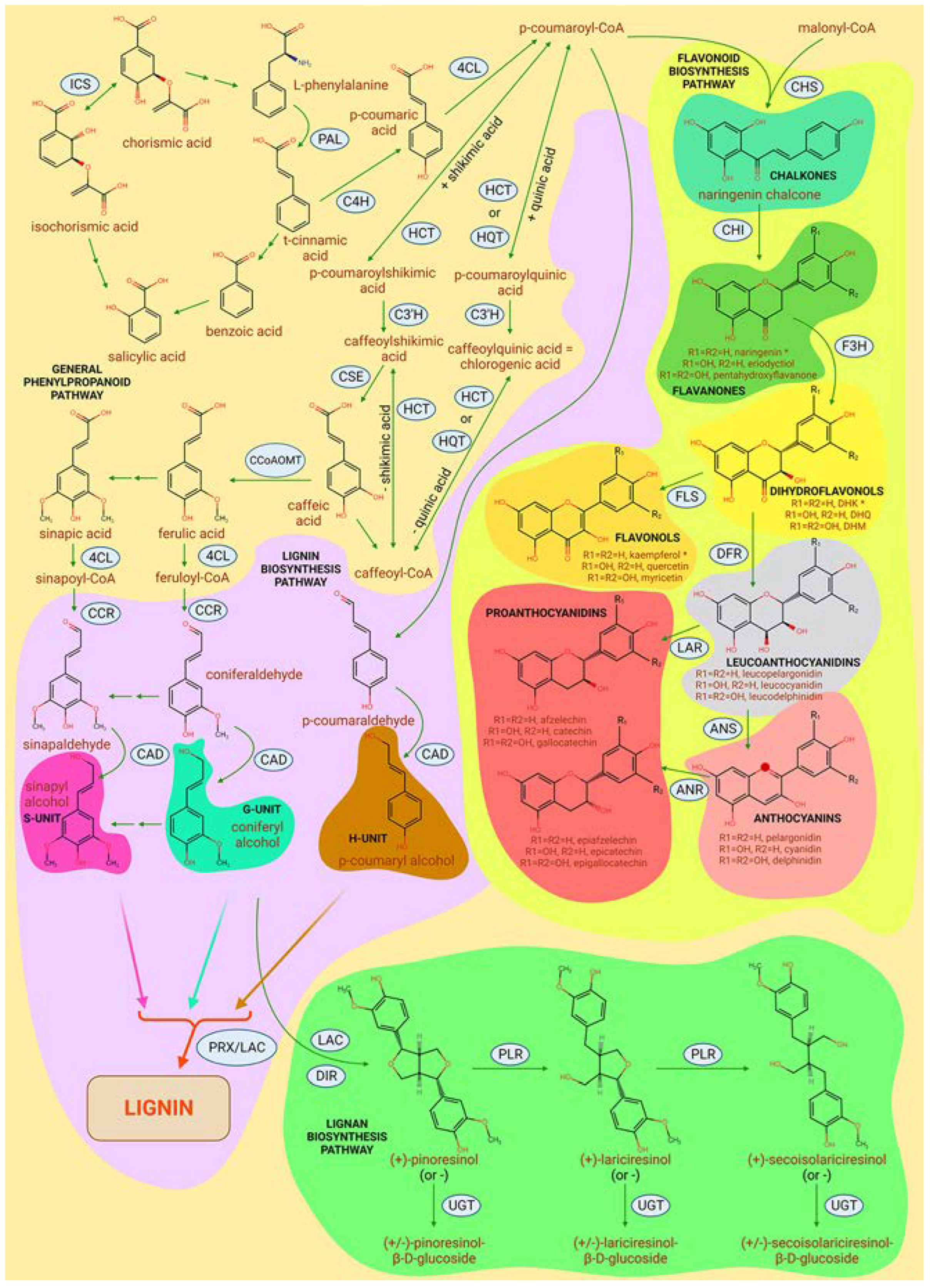 Preprints 93291 g004