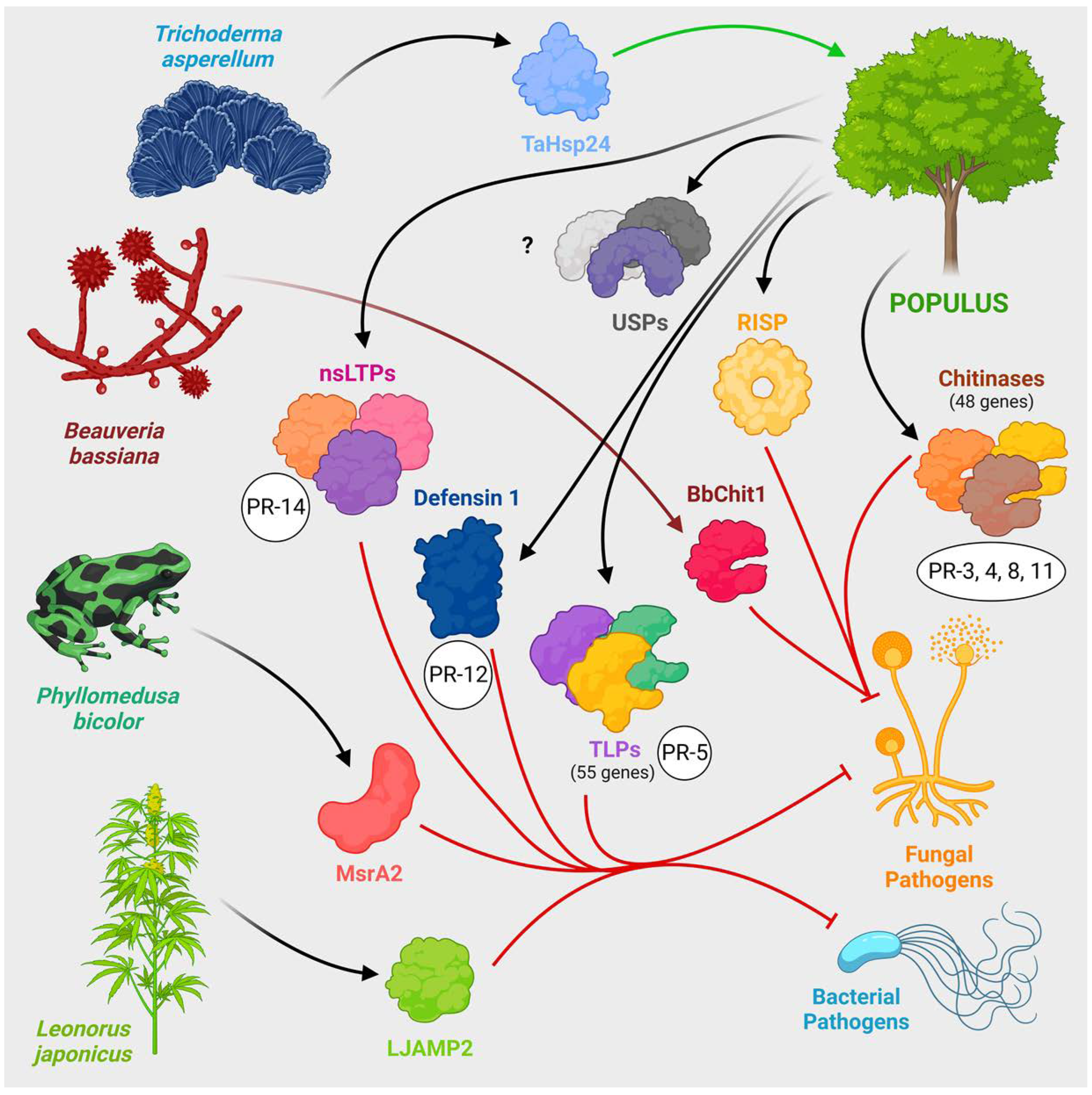 Preprints 93291 g005