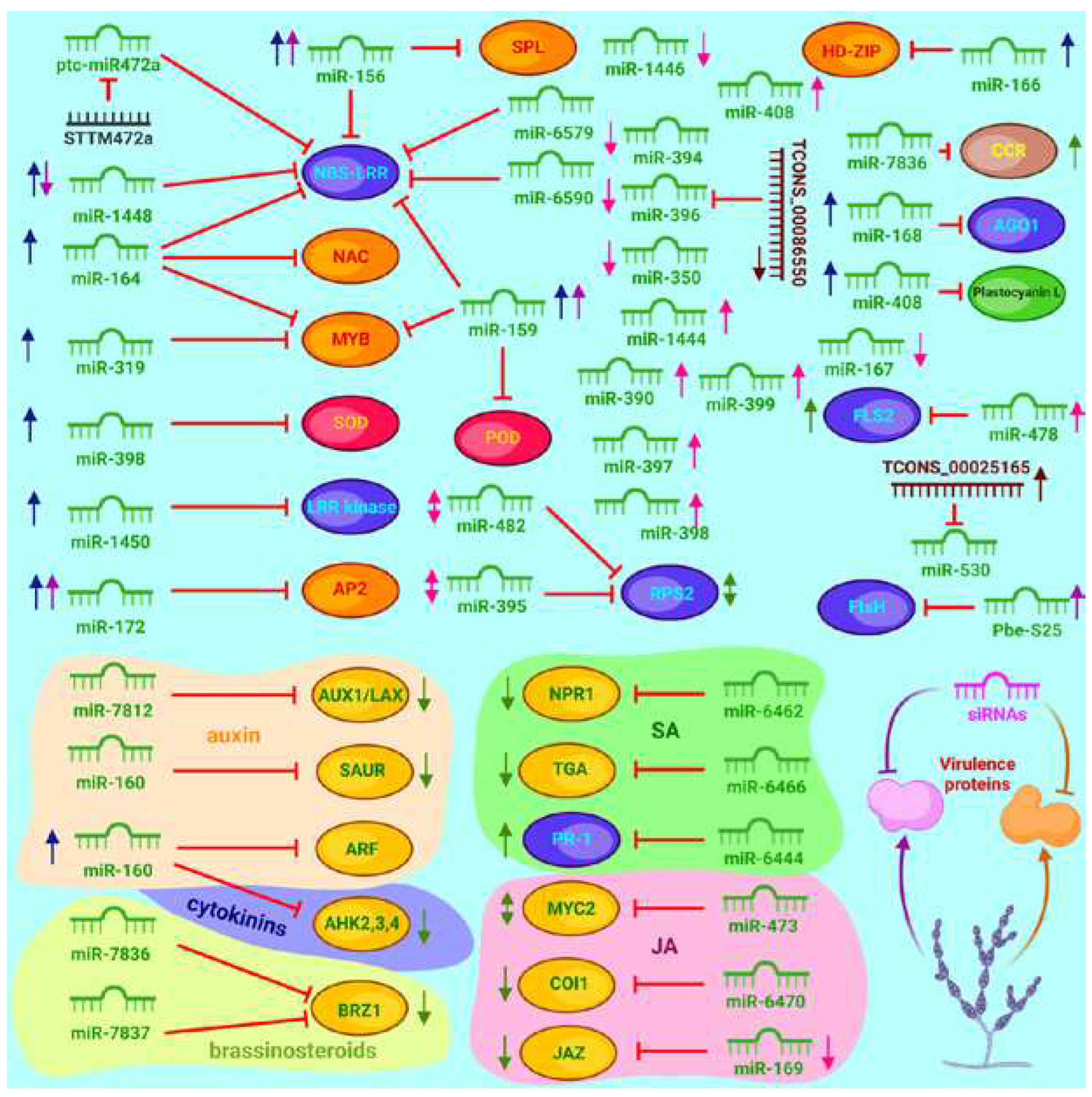 Preprints 93291 g007