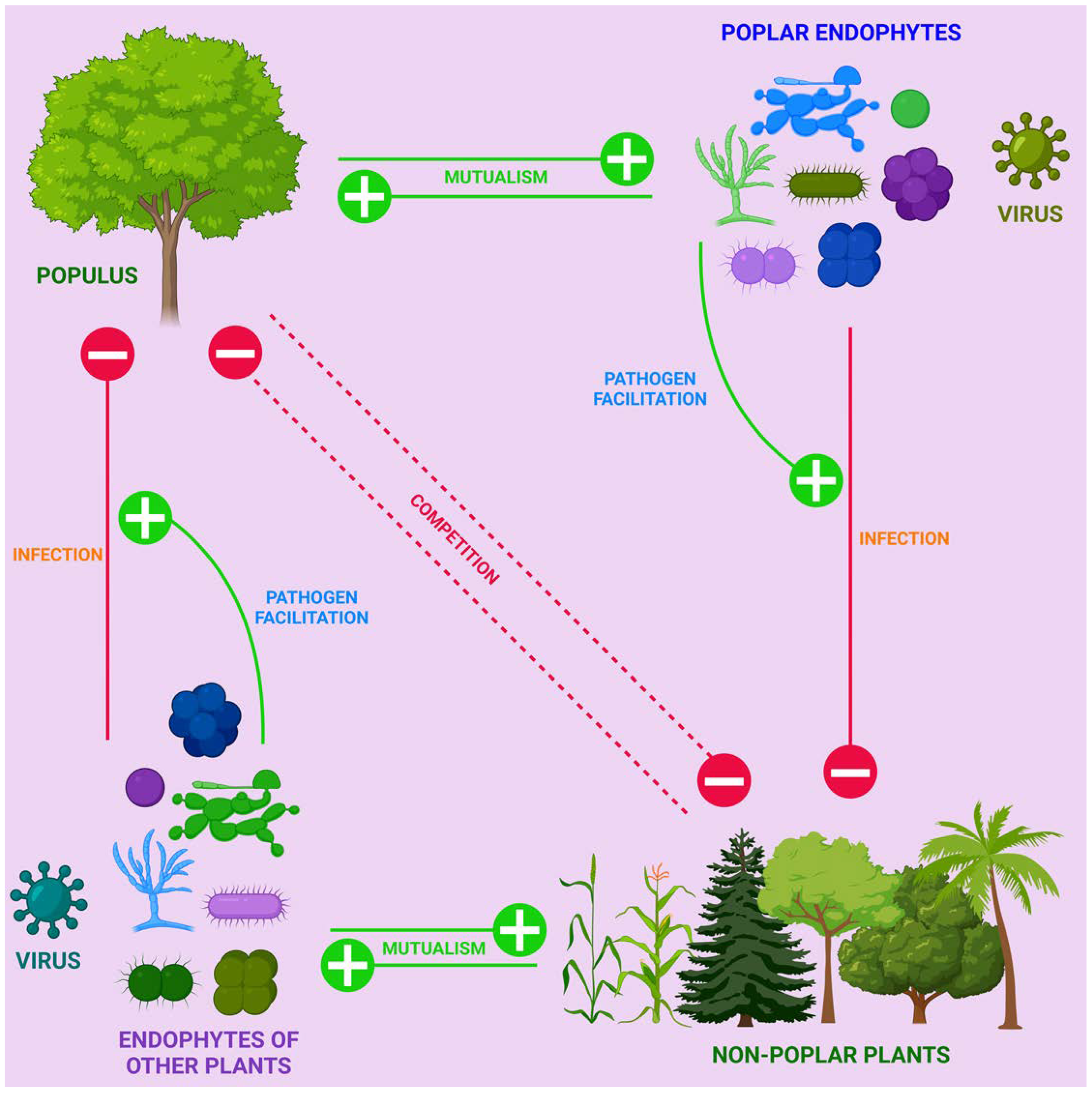 Preprints 93291 g010