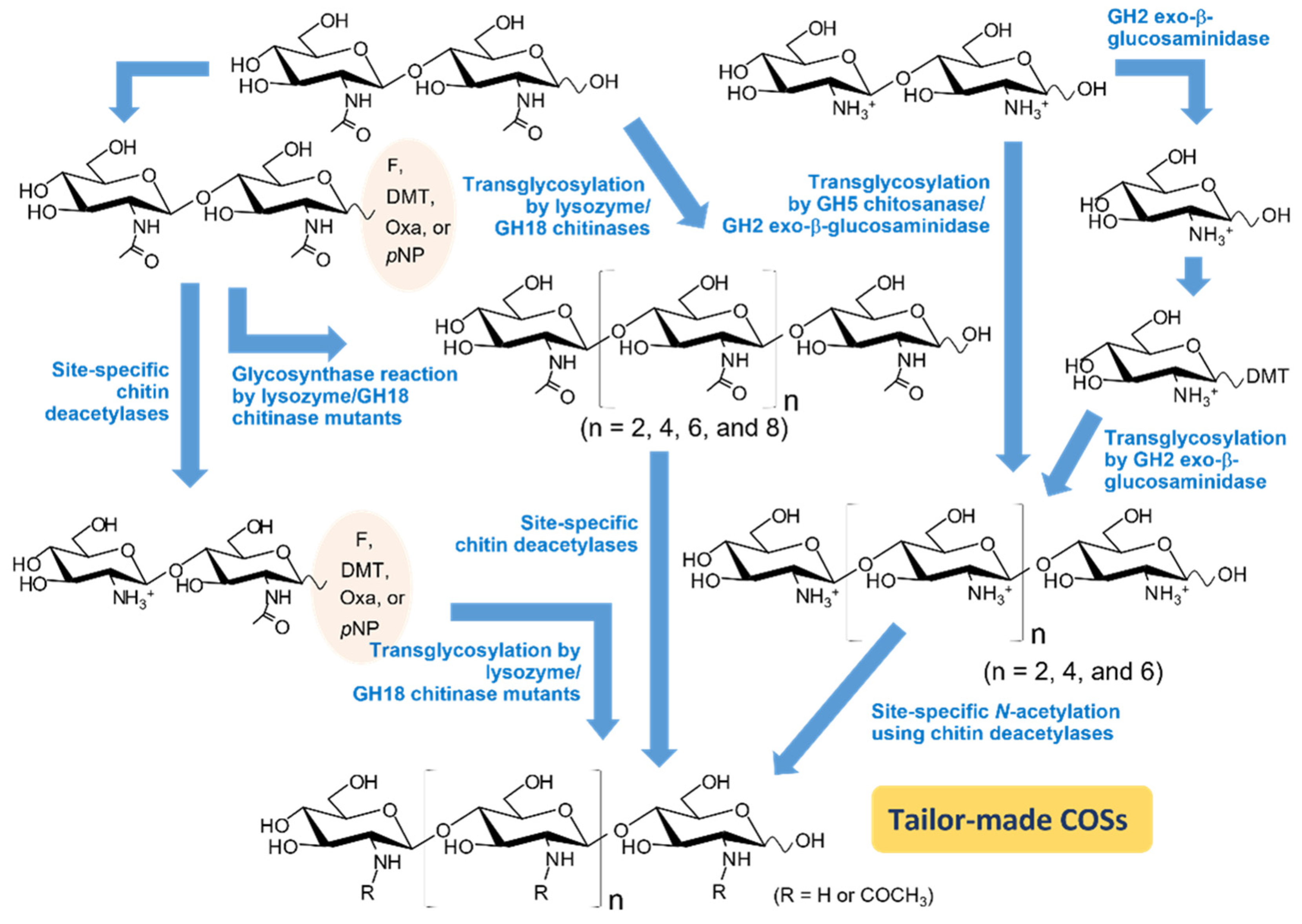 Preprints 74853 g004