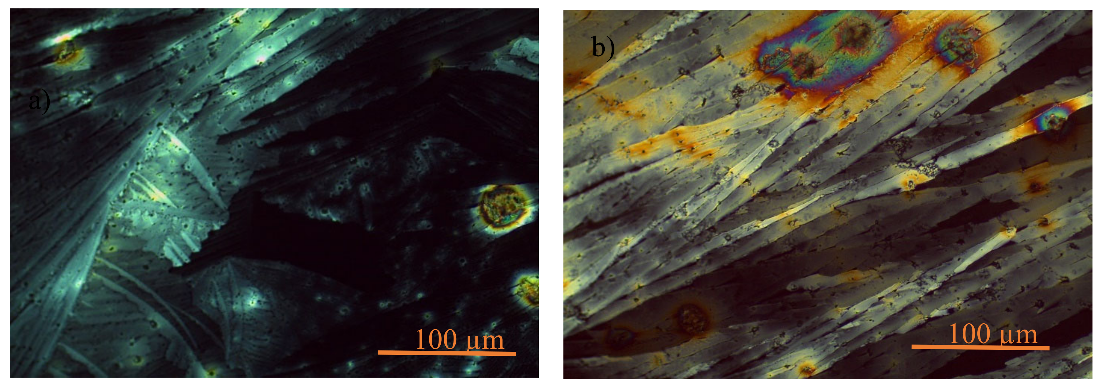 Preprints 111441 g004