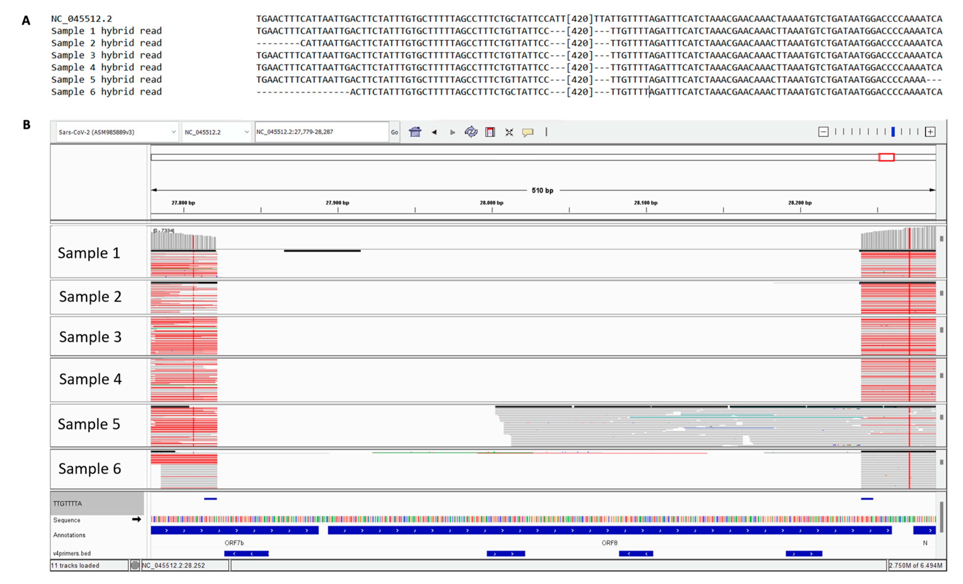 Preprints 81510 g002