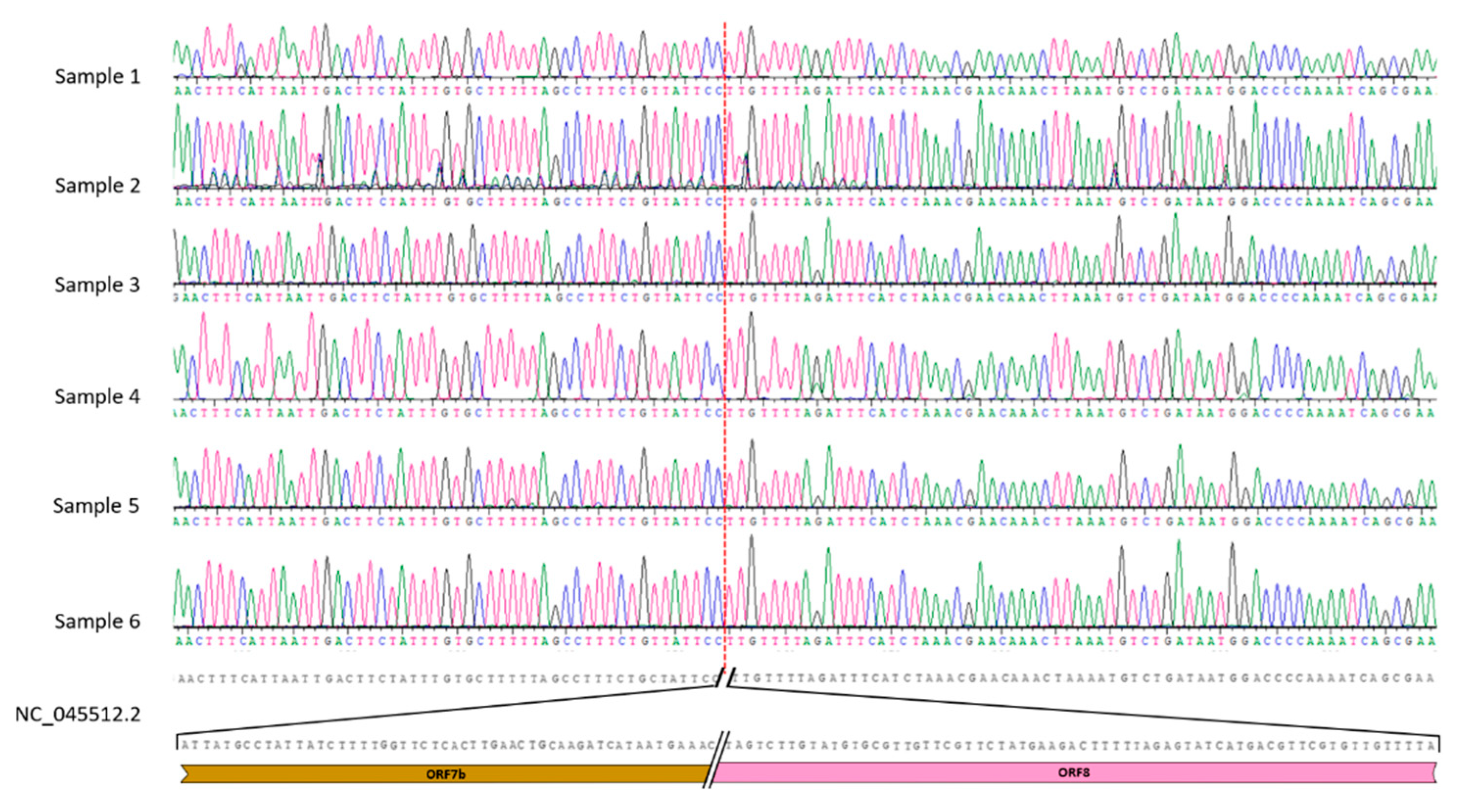 Preprints 81510 g003