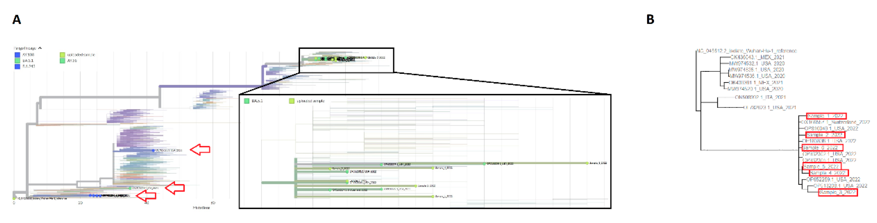 Preprints 81510 g004