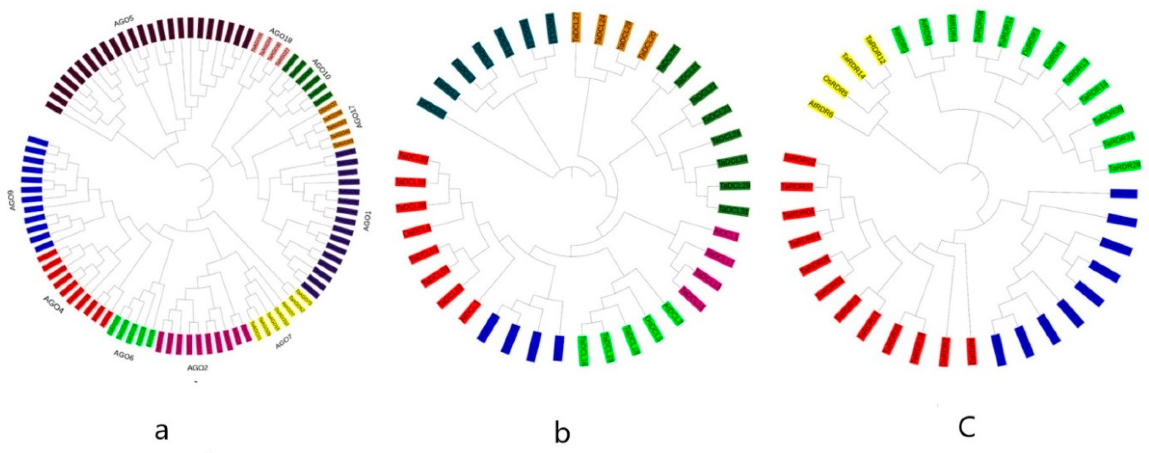 Preprints 74798 g001