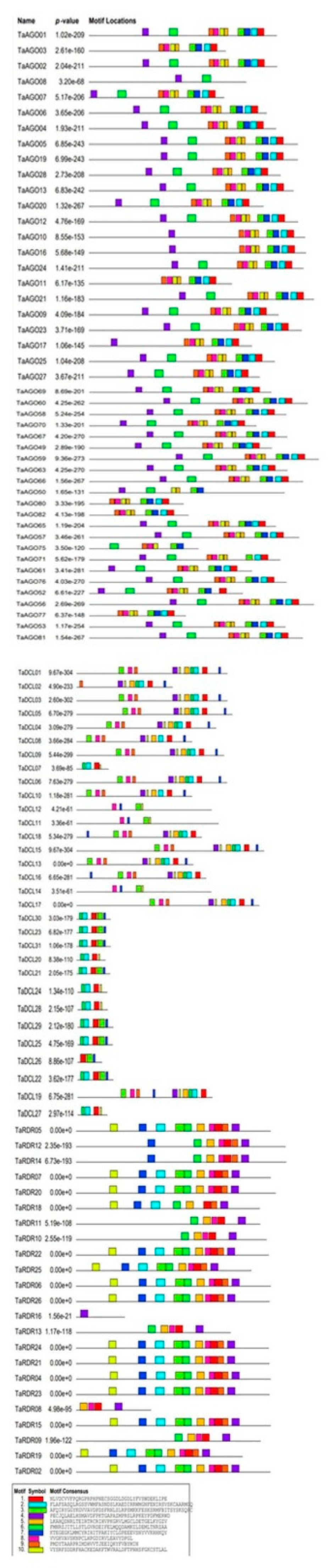 Preprints 74798 g002