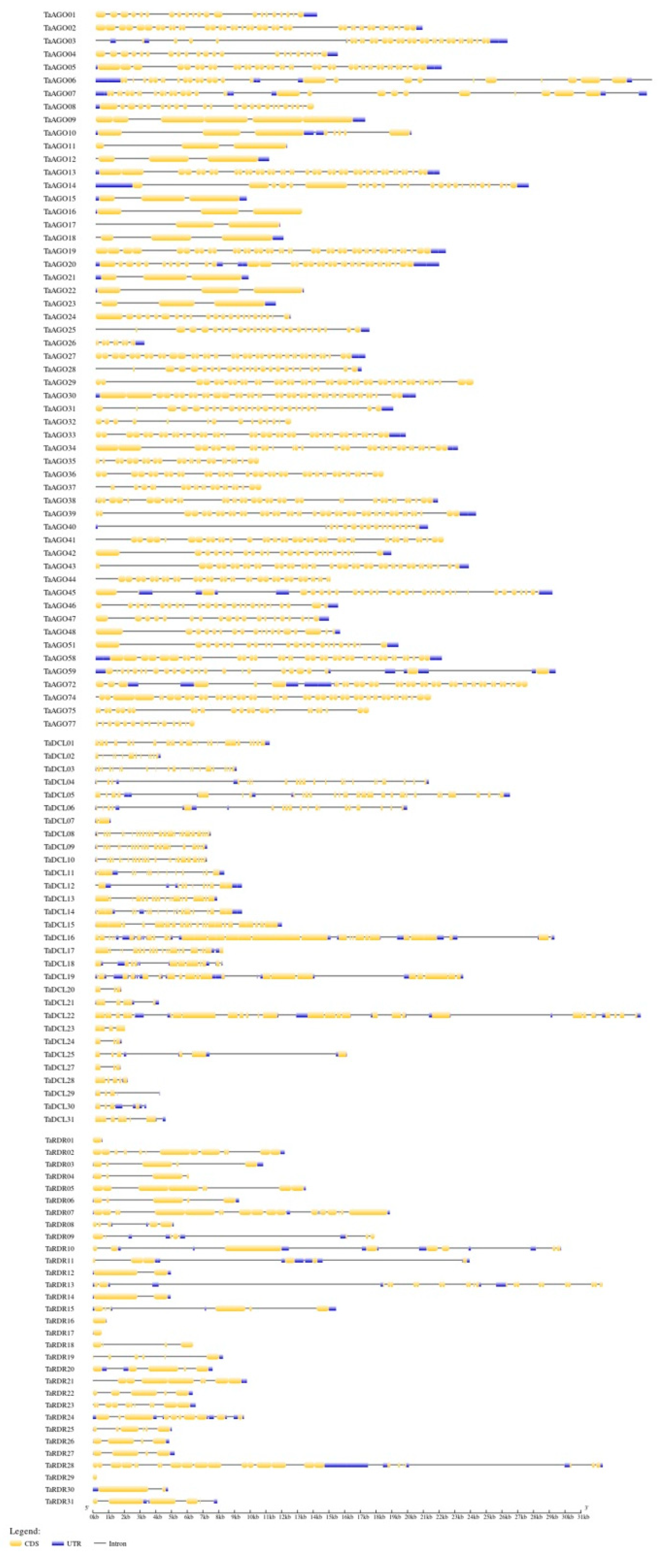 Preprints 74798 g003