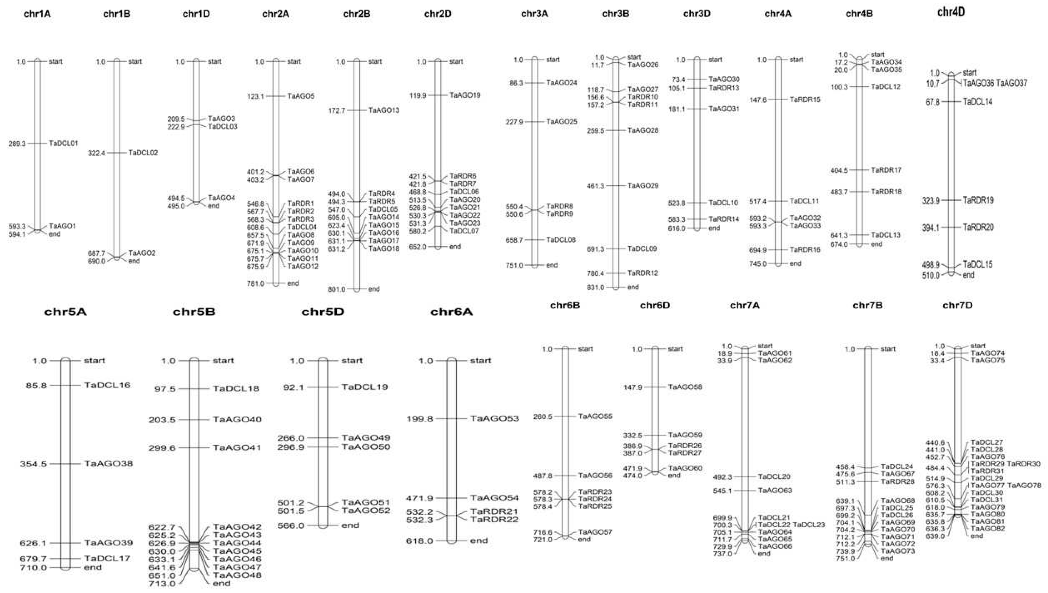 Preprints 74798 g004