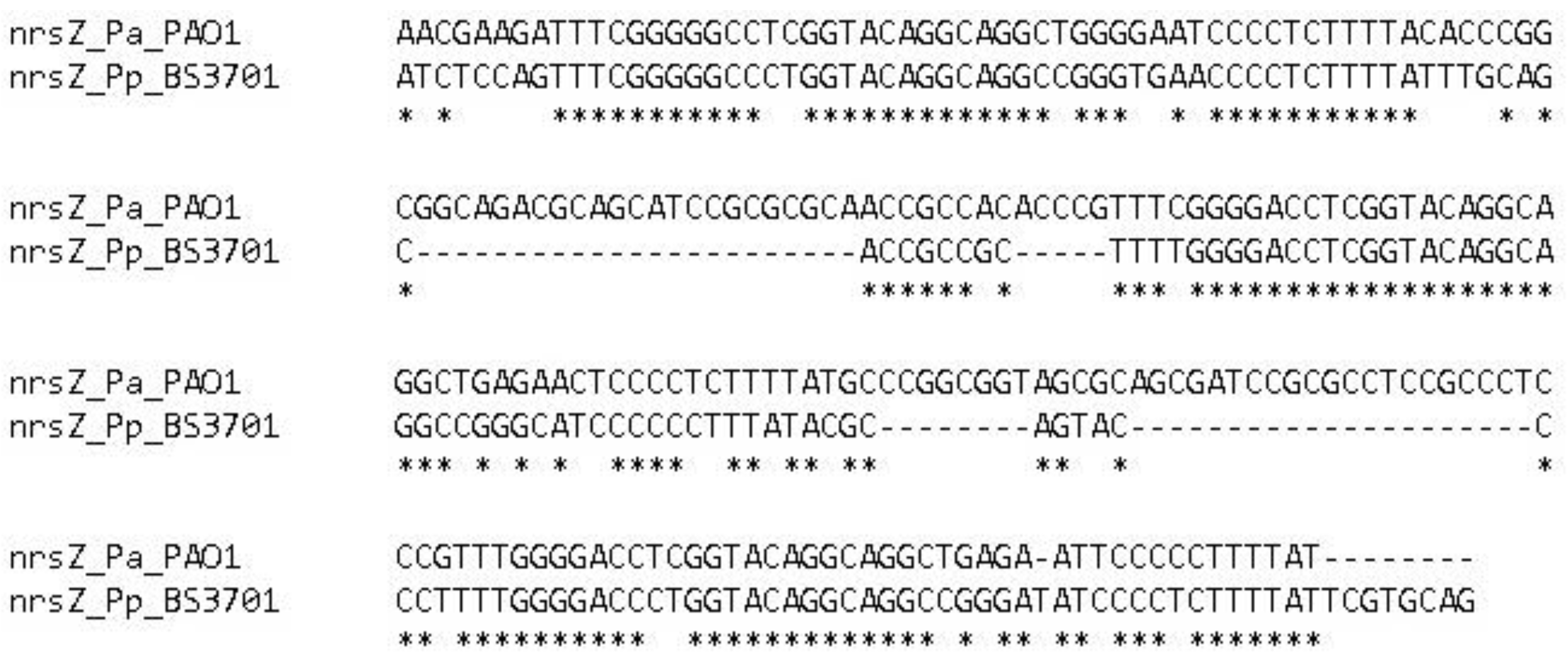 Preprints 90602 g001