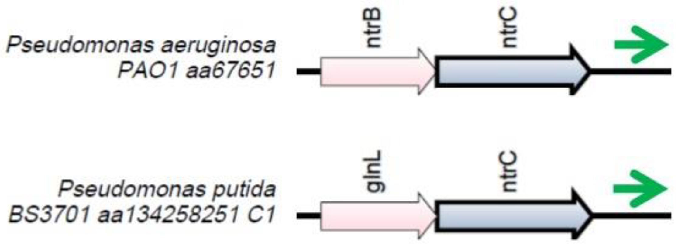 Preprints 90602 g002