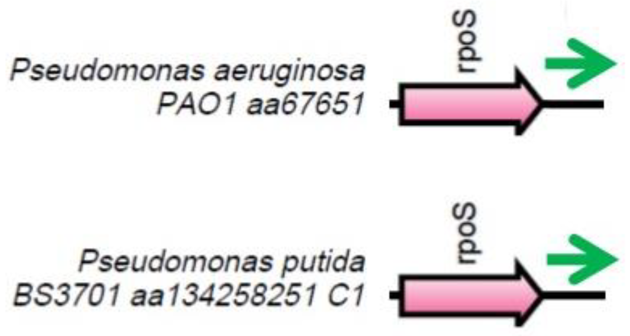 Preprints 90602 g004