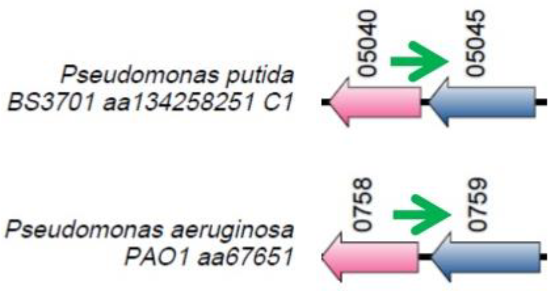 Preprints 90602 g006