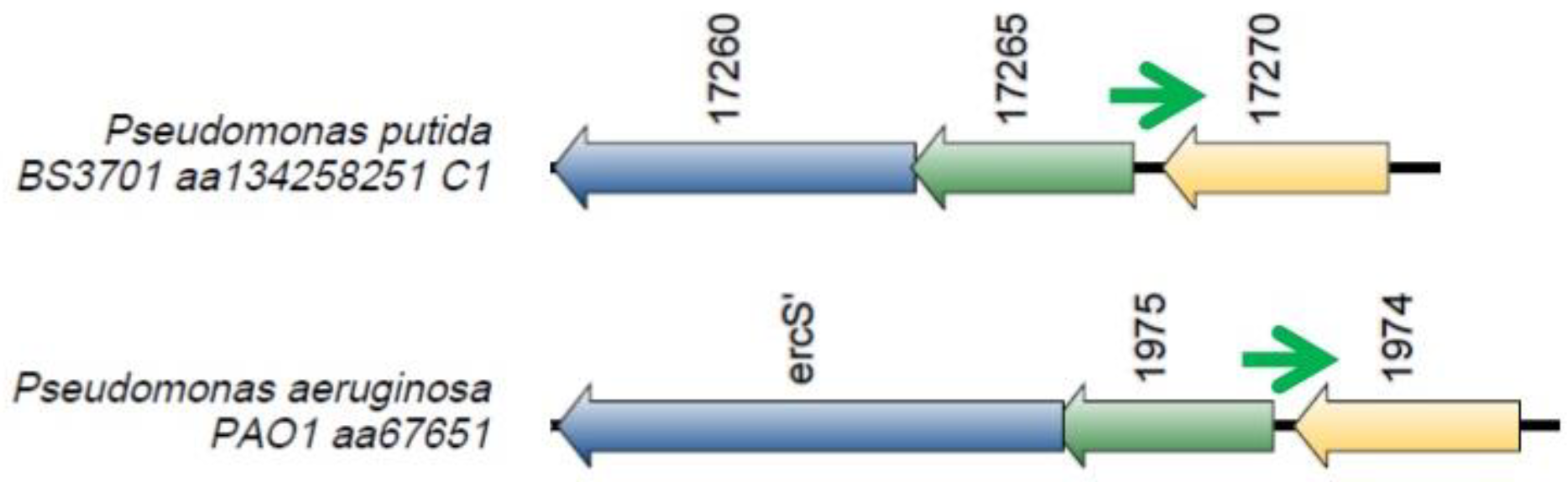 Preprints 90602 g008