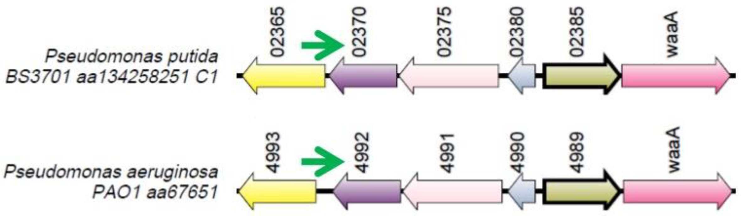 Preprints 90602 g010