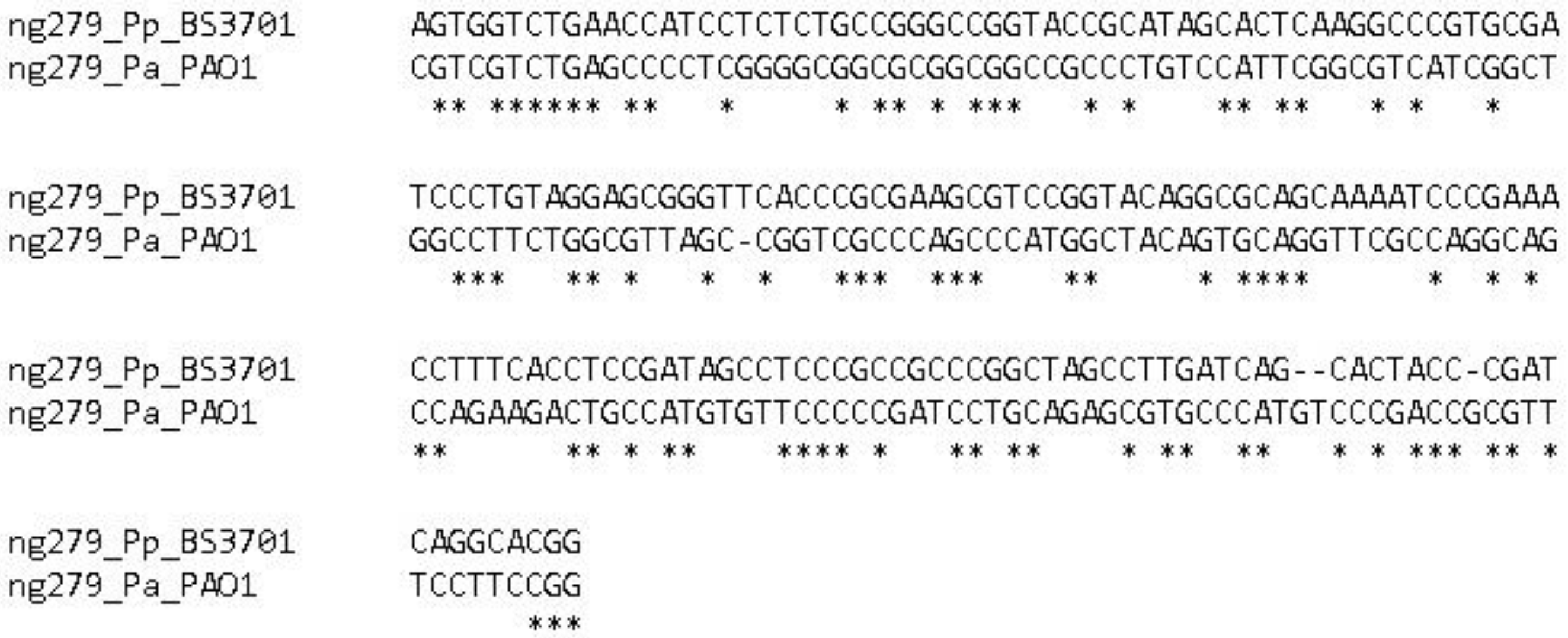 Preprints 90602 g011