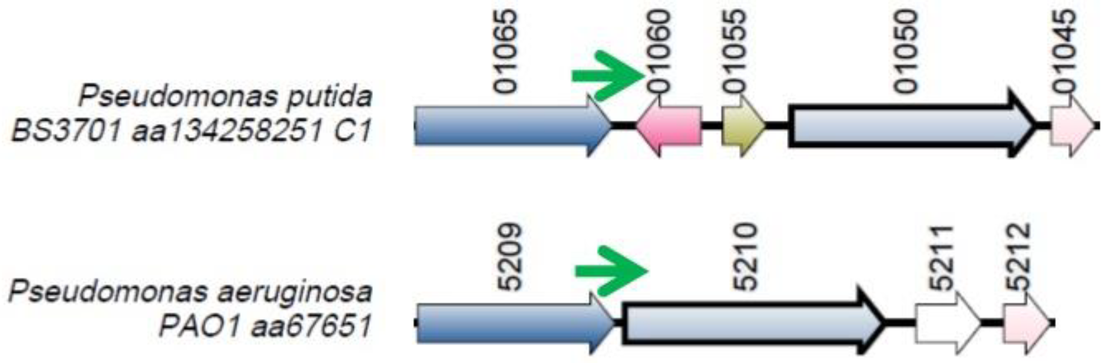 Preprints 90602 g012