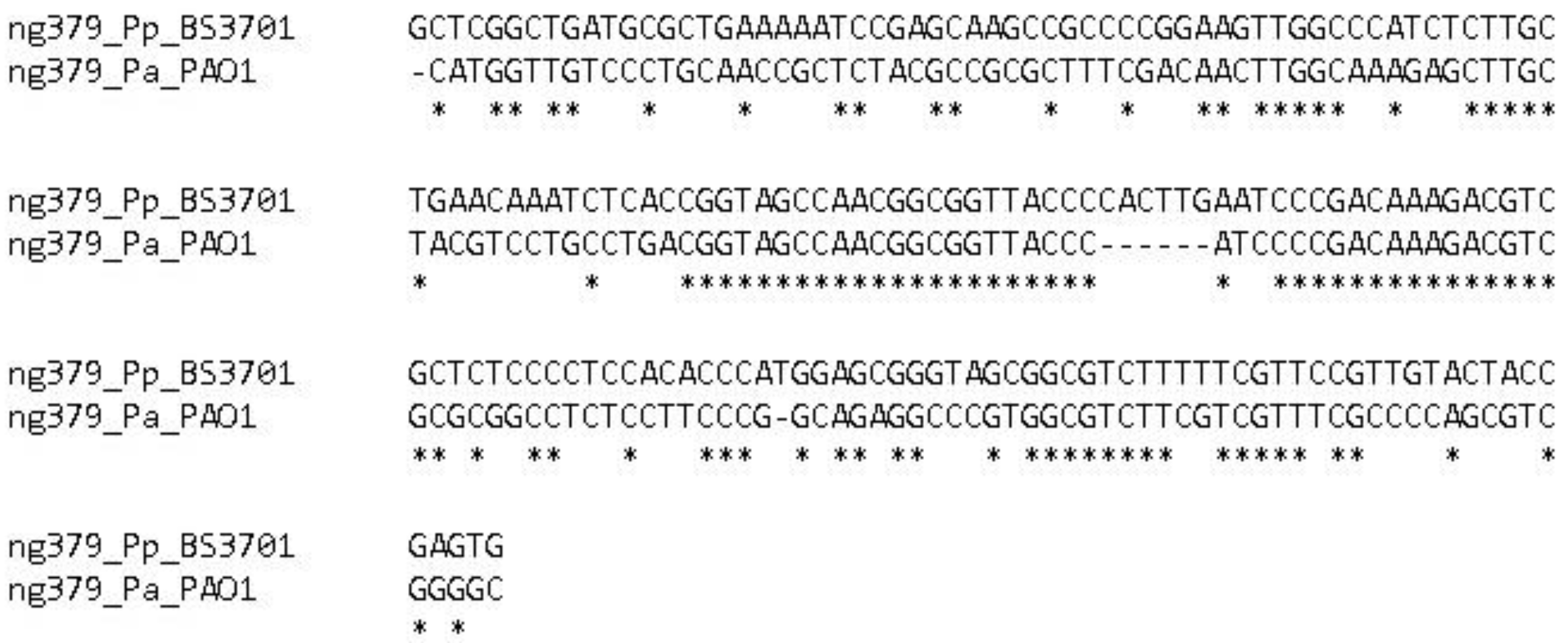 Preprints 90602 g013