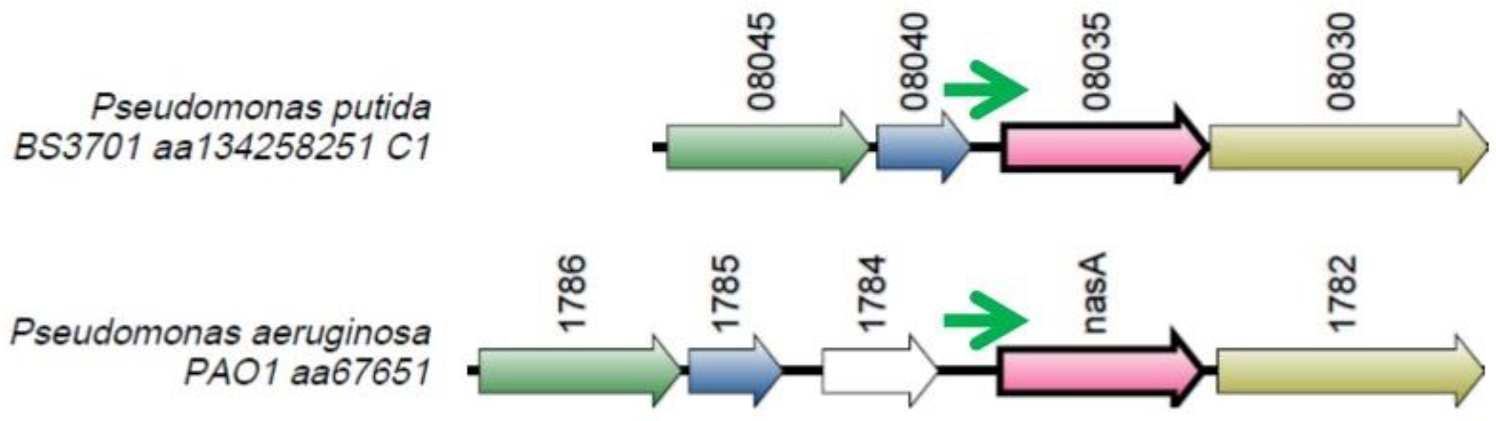 Preprints 90602 g014