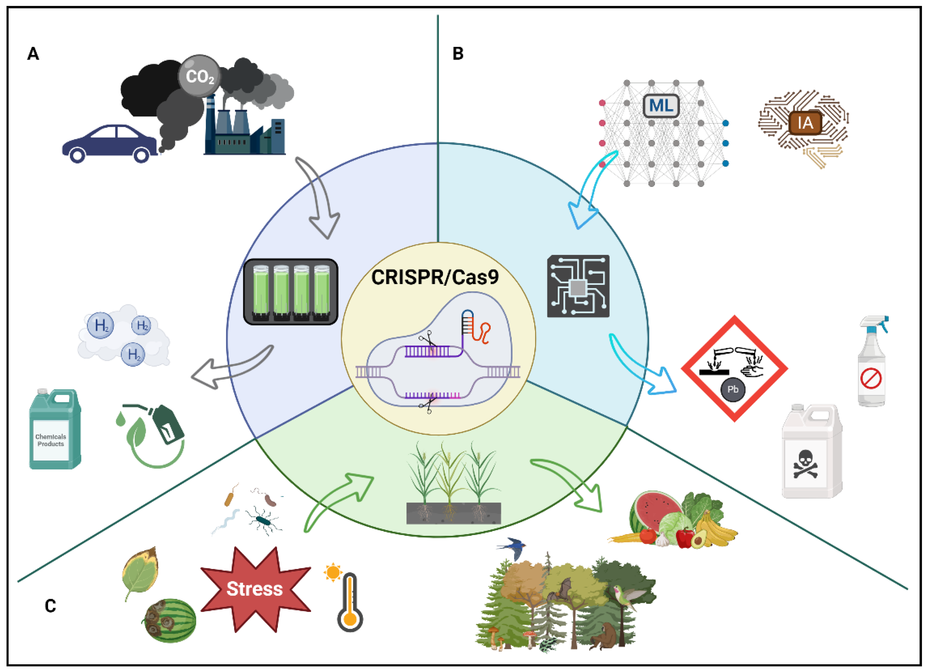 Preprints 105428 g007