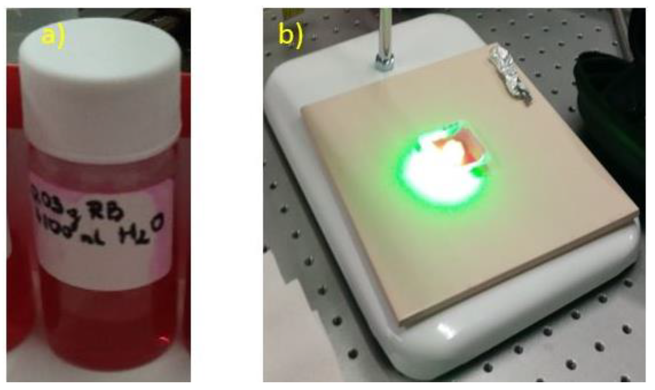 Preprints 108023 g003