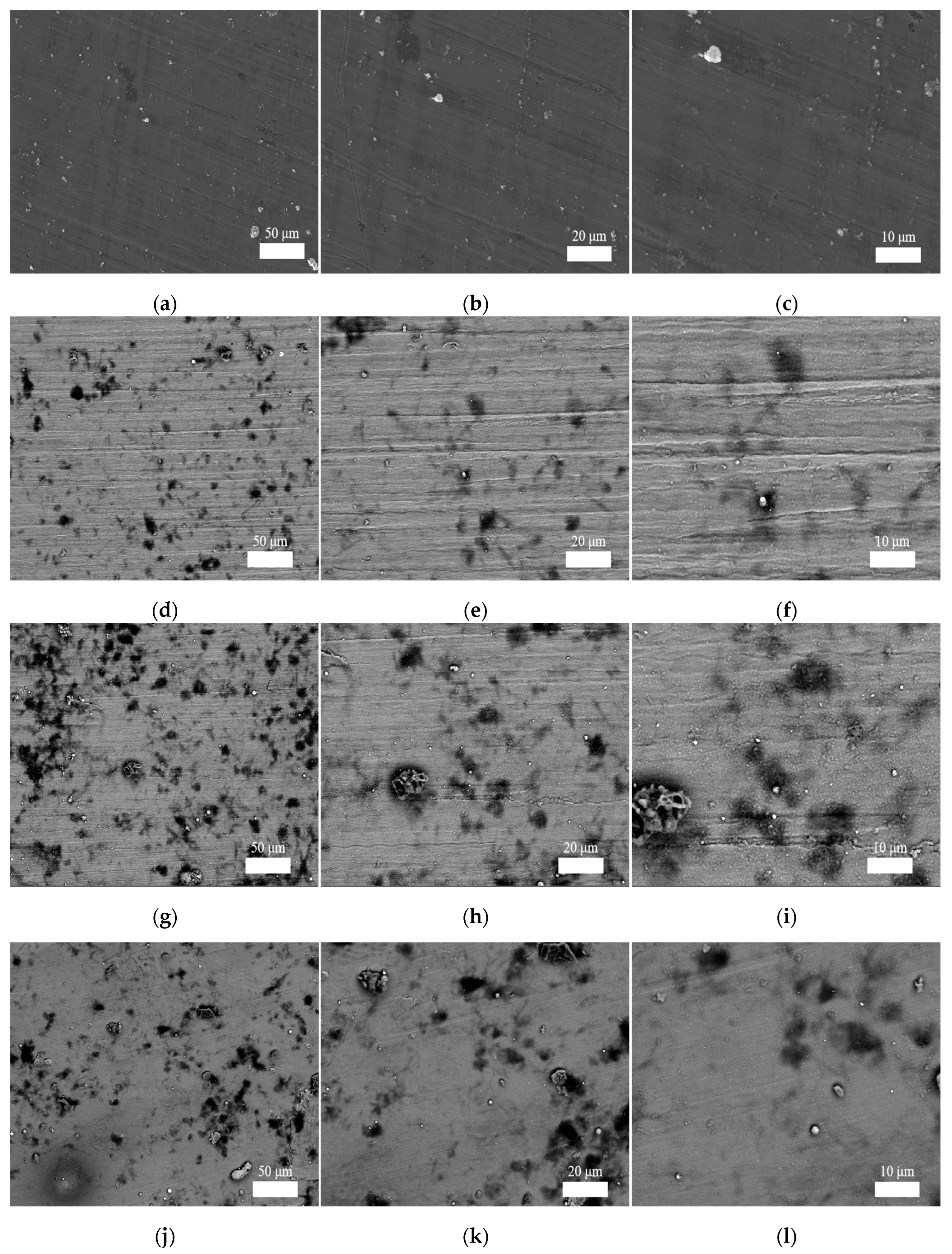 Preprints 97893 g007