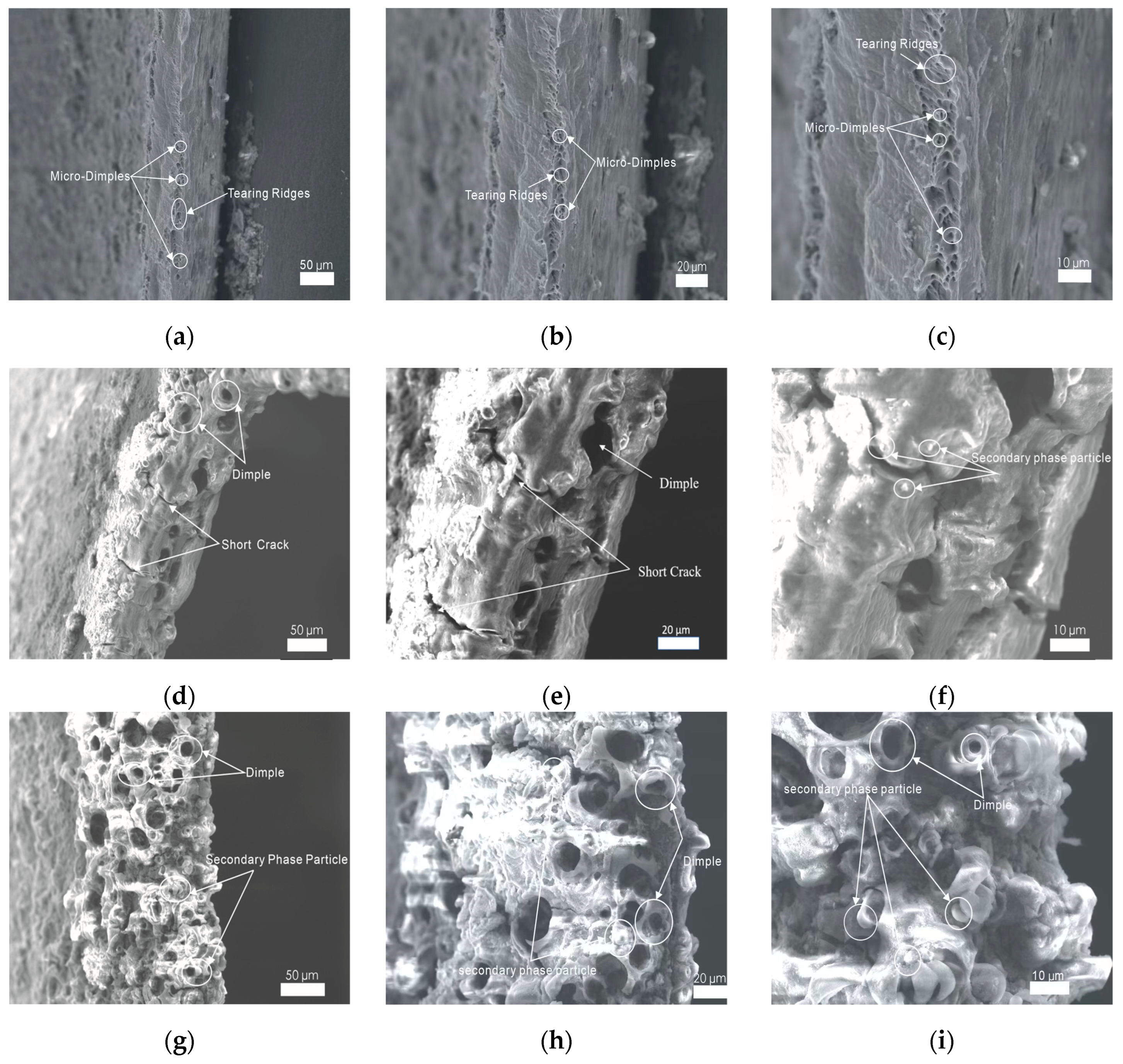 Preprints 97893 g008